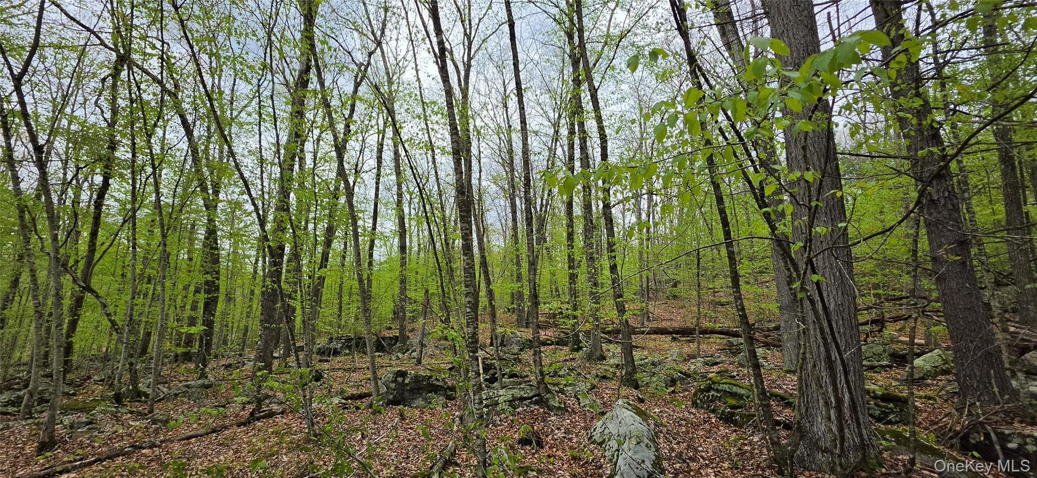 Lot 23.21 State Route 97 thumbnail 20