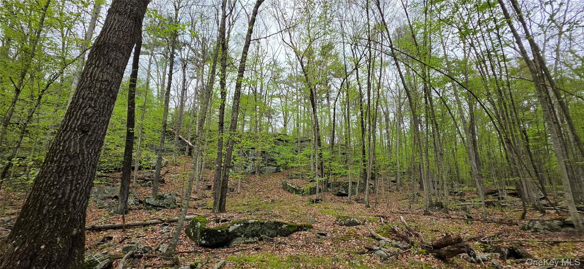 Lot 23.21 State Route 97 thumbnail 12