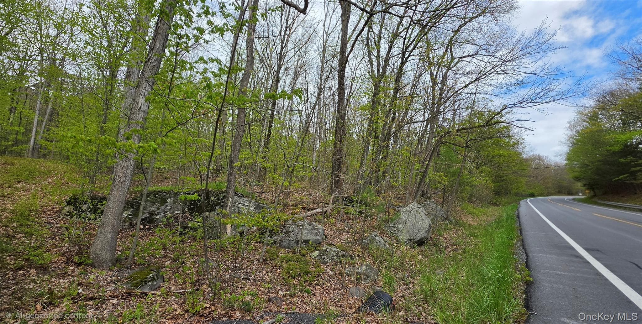 Lot 23.21 State Route 97 thumbnail 3