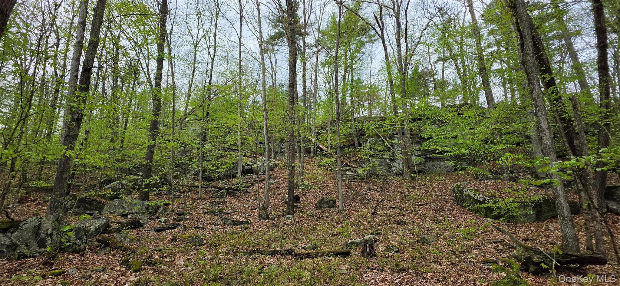 Lot 23.21 State Route 97 thumbnail 16