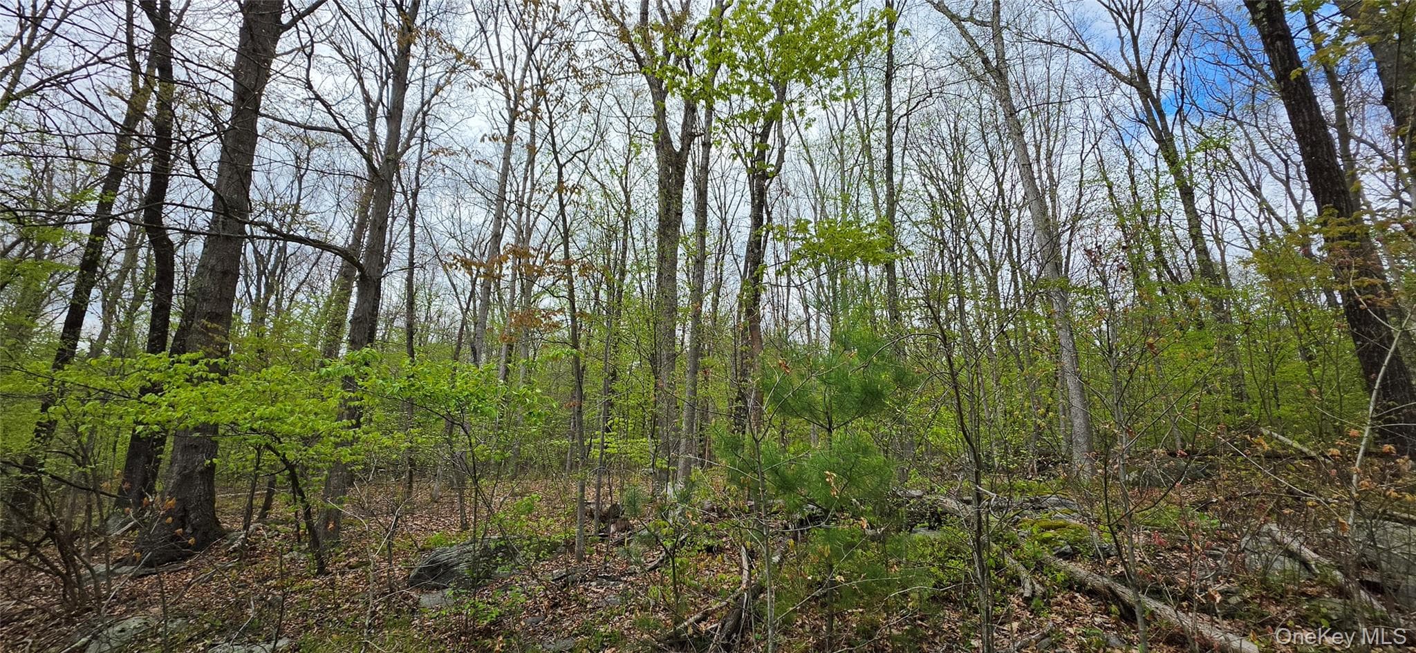 Lot 23.21 State Route 97 thumbnail 26