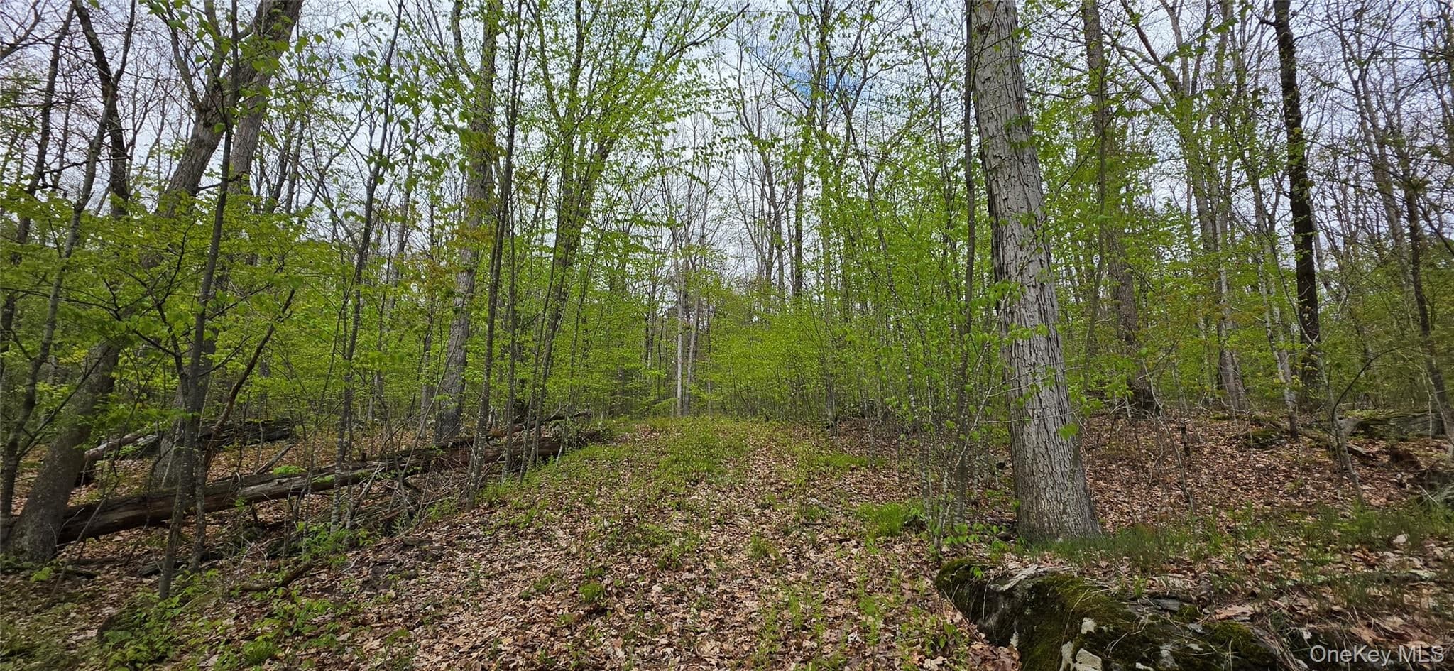 Lot 23.21 State Route 97 thumbnail 4