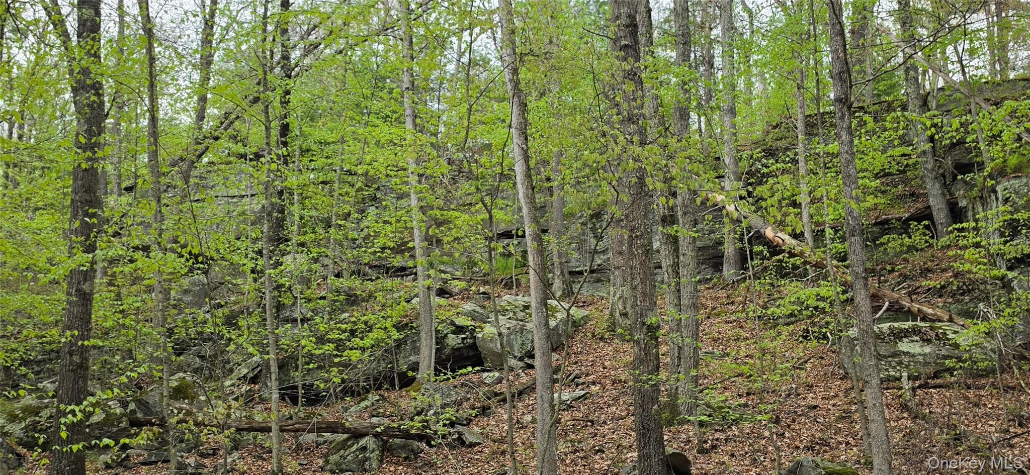 Lot 23.21 State Route 97 thumbnail 15