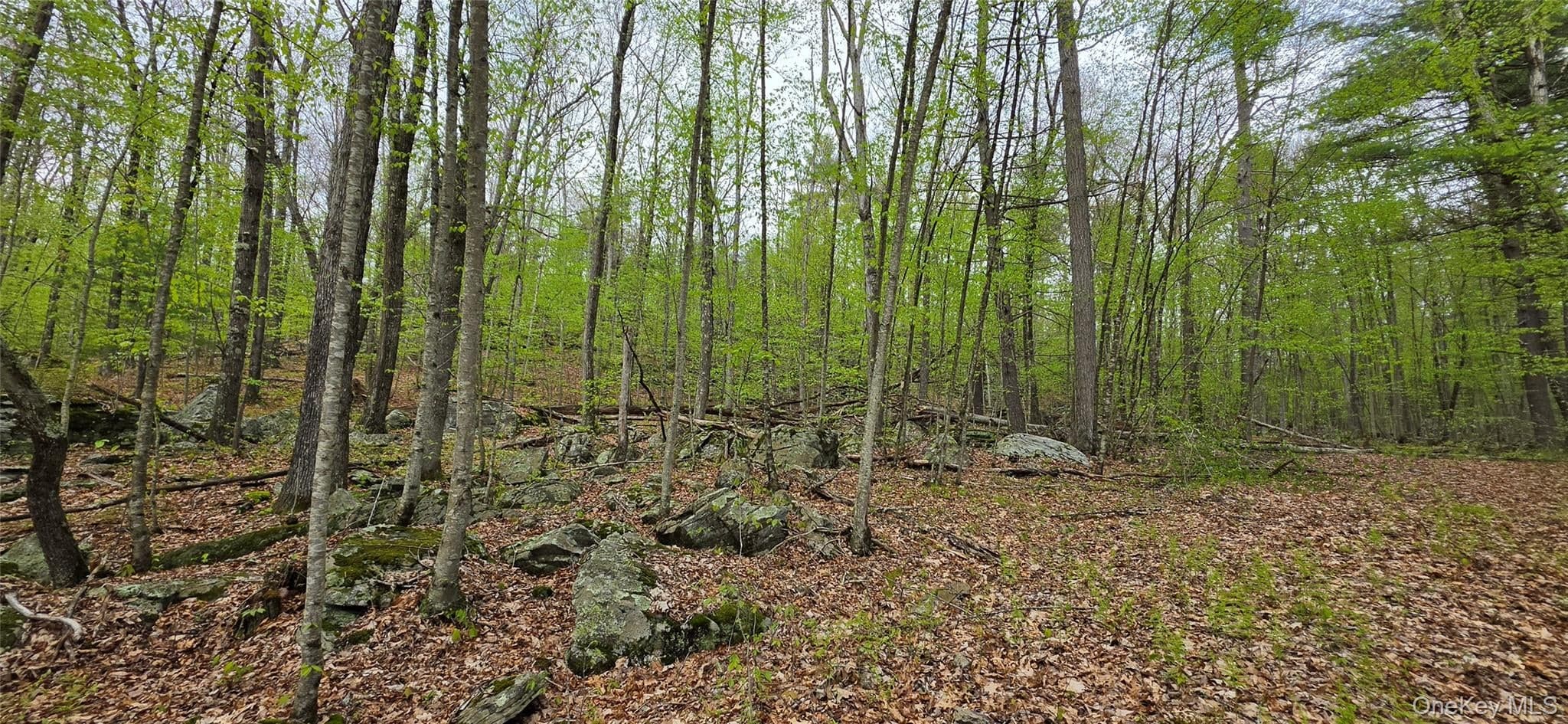 Lot 23.21 State Route 97 thumbnail 9