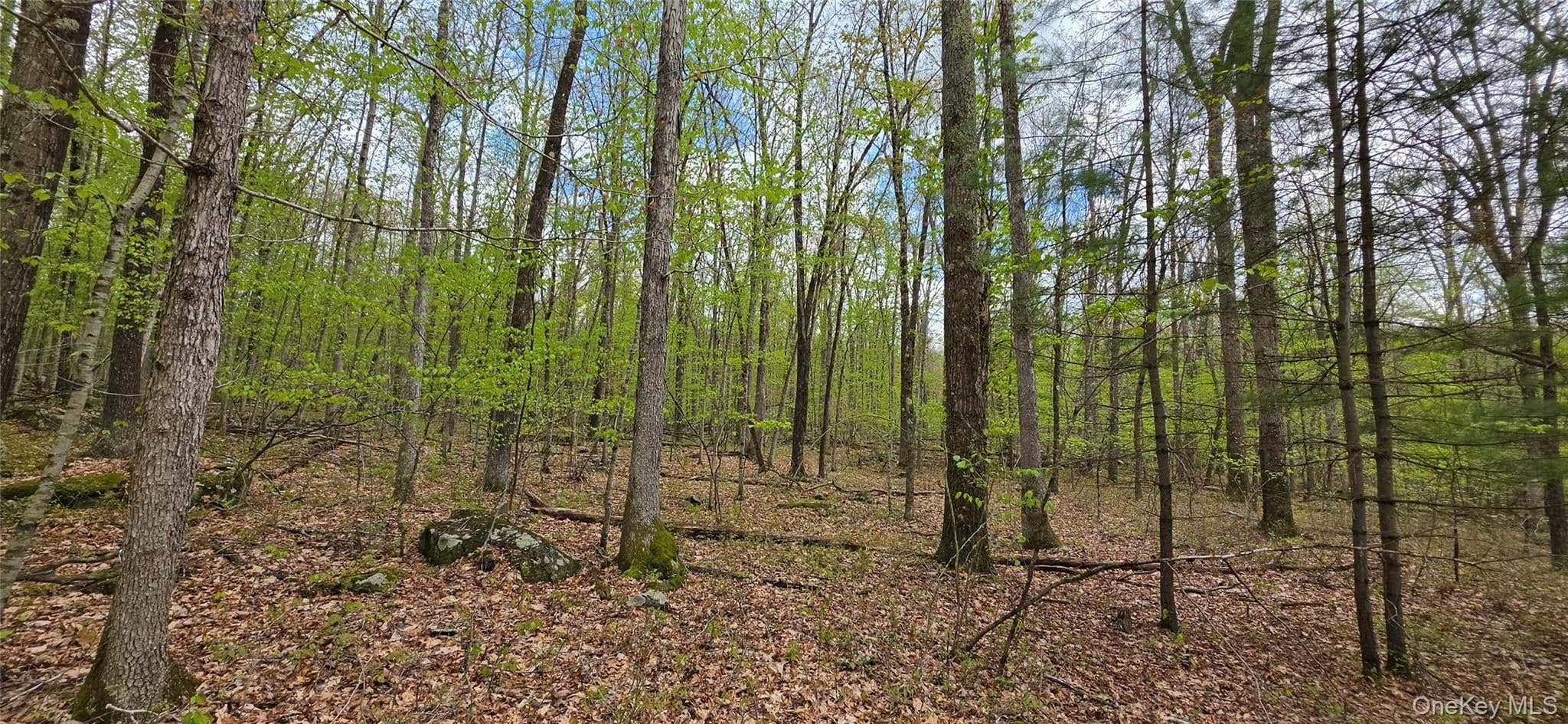 Lot 23.21 State Route 97 thumbnail 8