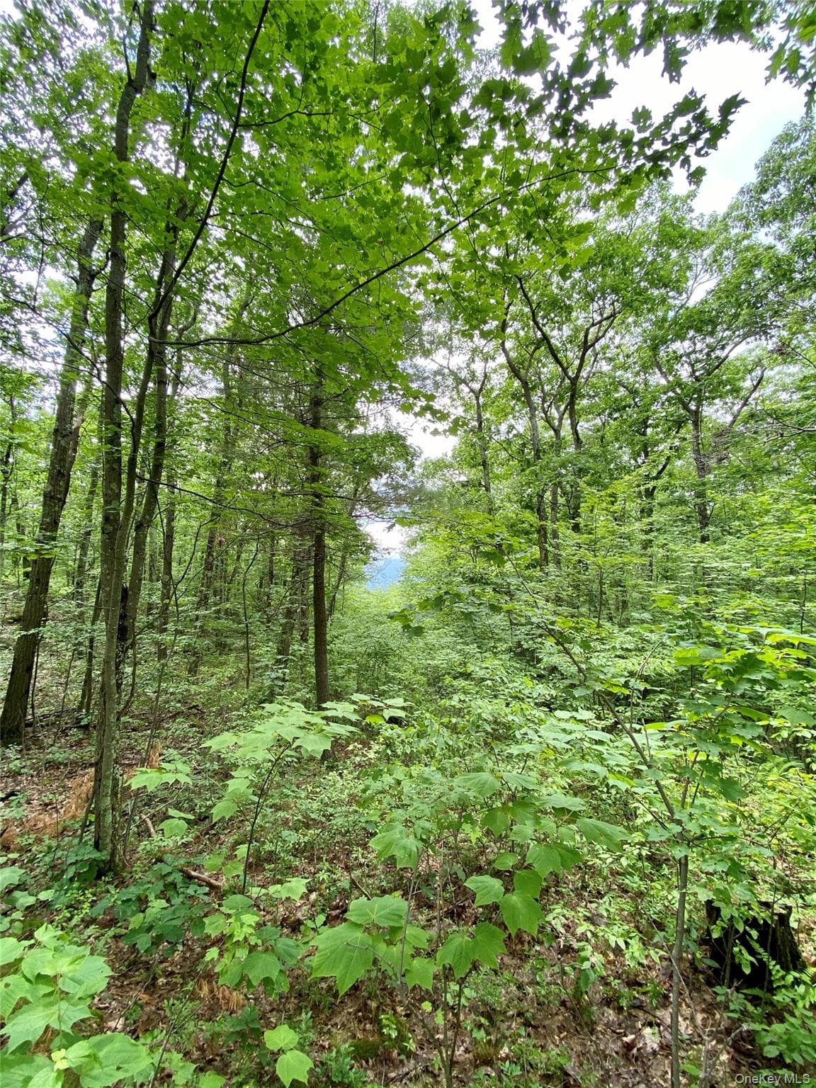 400 Mercer Mountain Road thumbnail 16