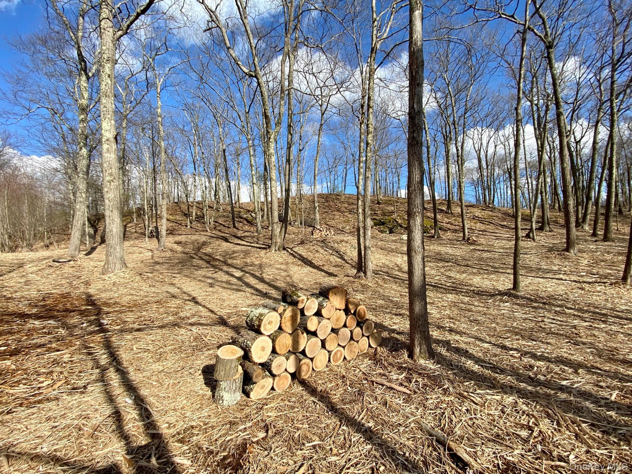 400 Mercer Mountain Road thumbnail 13
