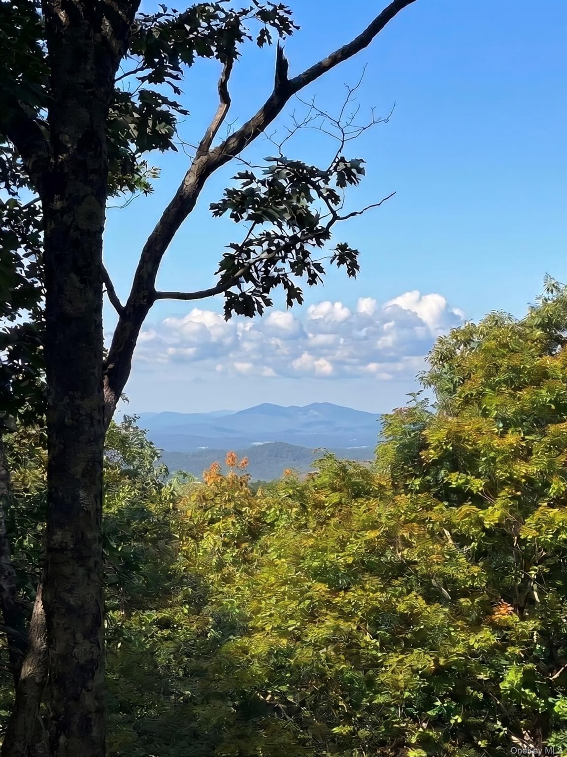 400 Mercer Mountain Road photo 1