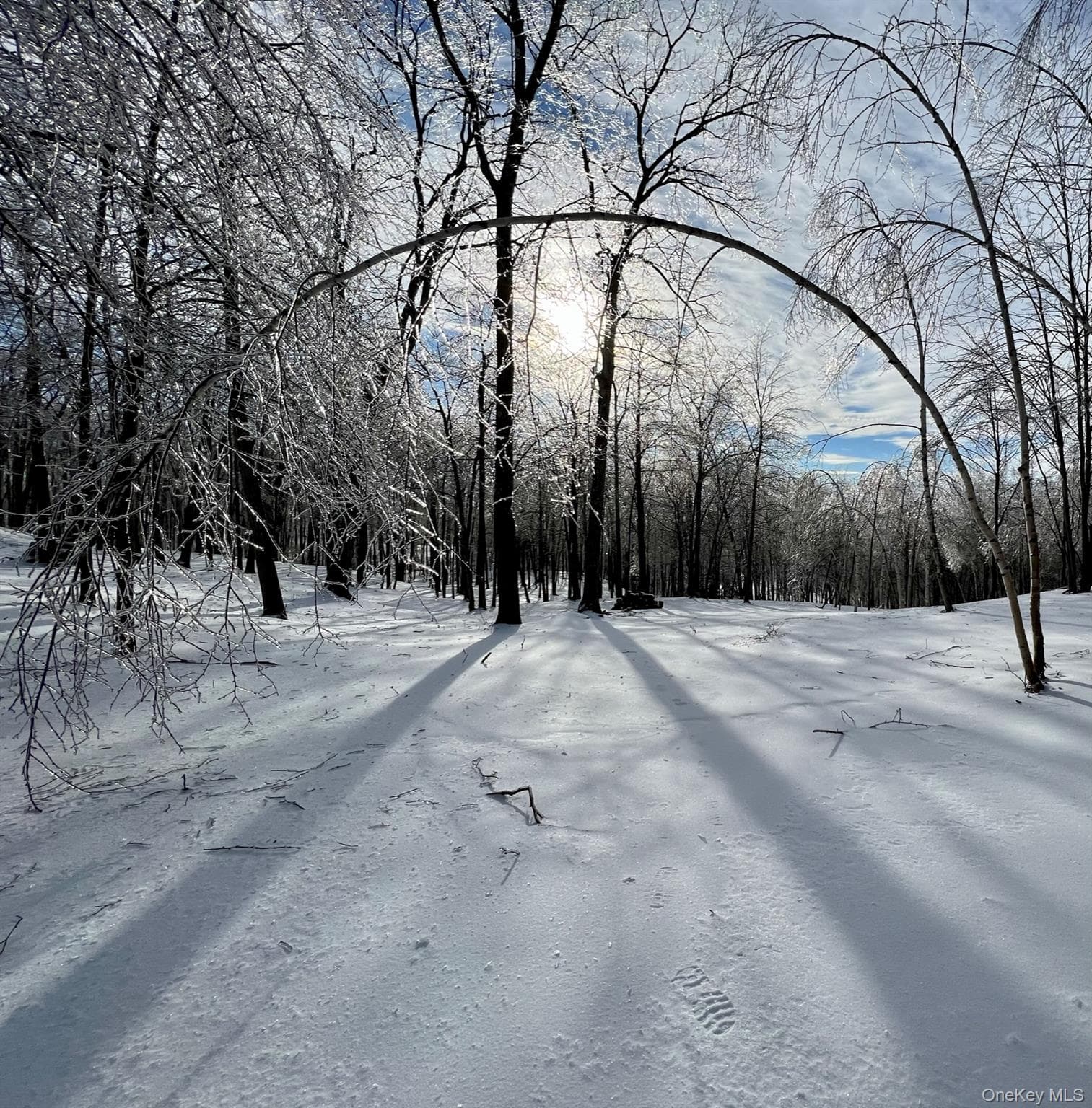 400 Mercer Mountain Road thumbnail 17