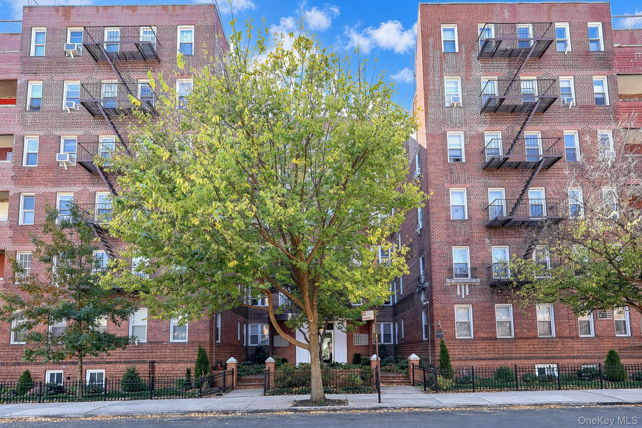 65-36 Wetherole Street Unit: 101 thumbnail 2