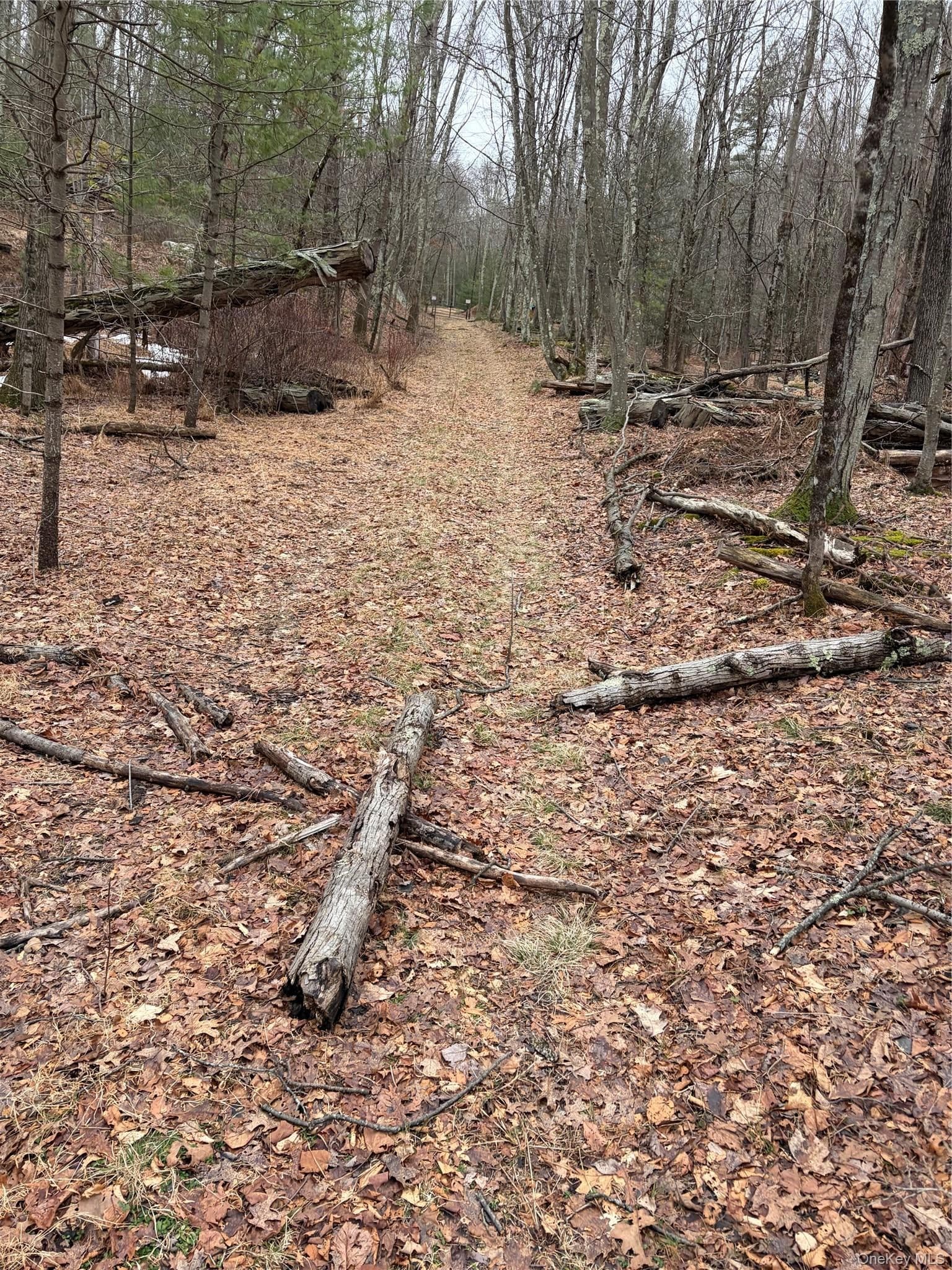 Red Hill Road thumbnail 3