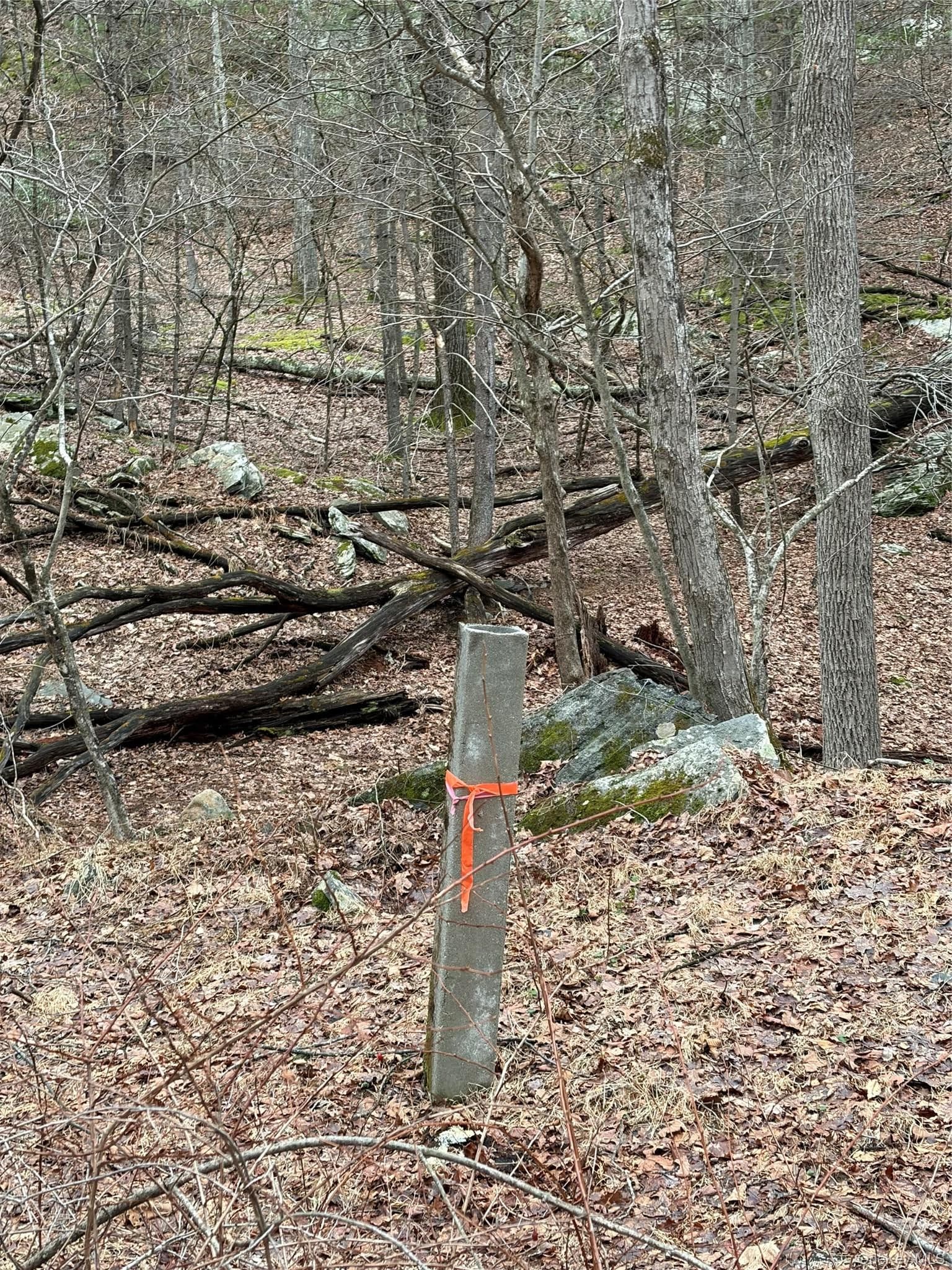 Red Hill Road thumbnail 15