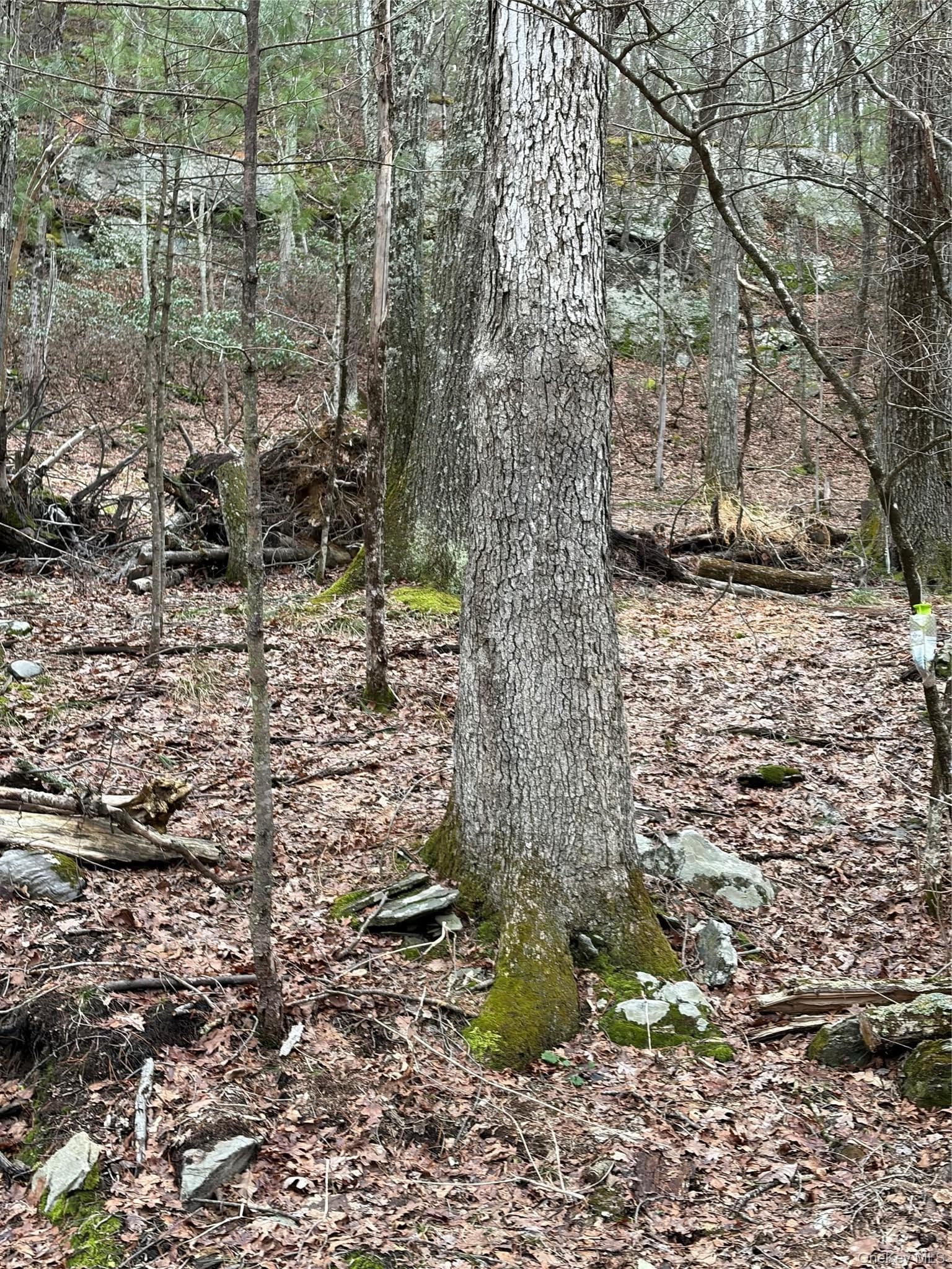 Red Hill Road thumbnail 10