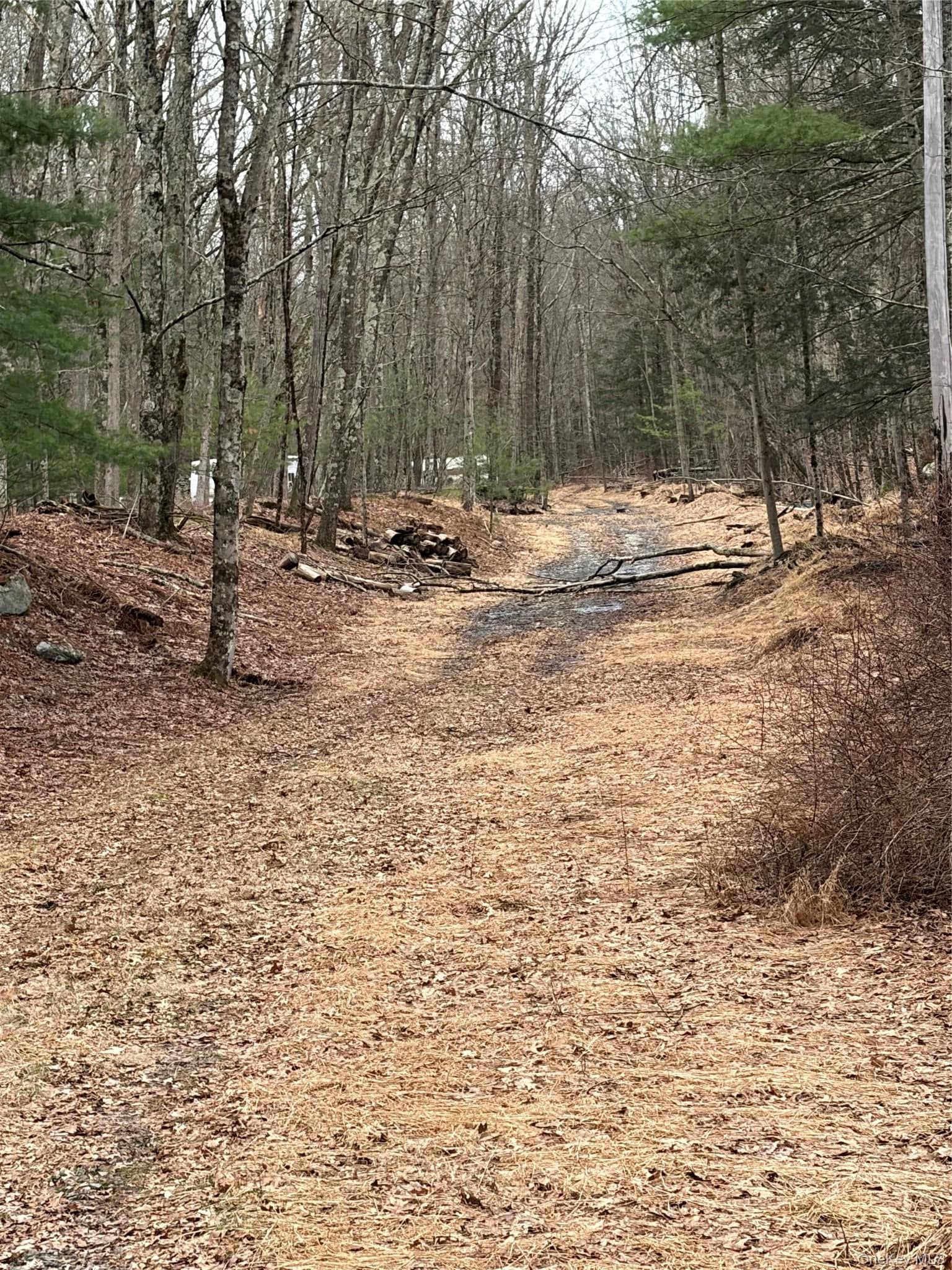 Red Hill Road photo 1