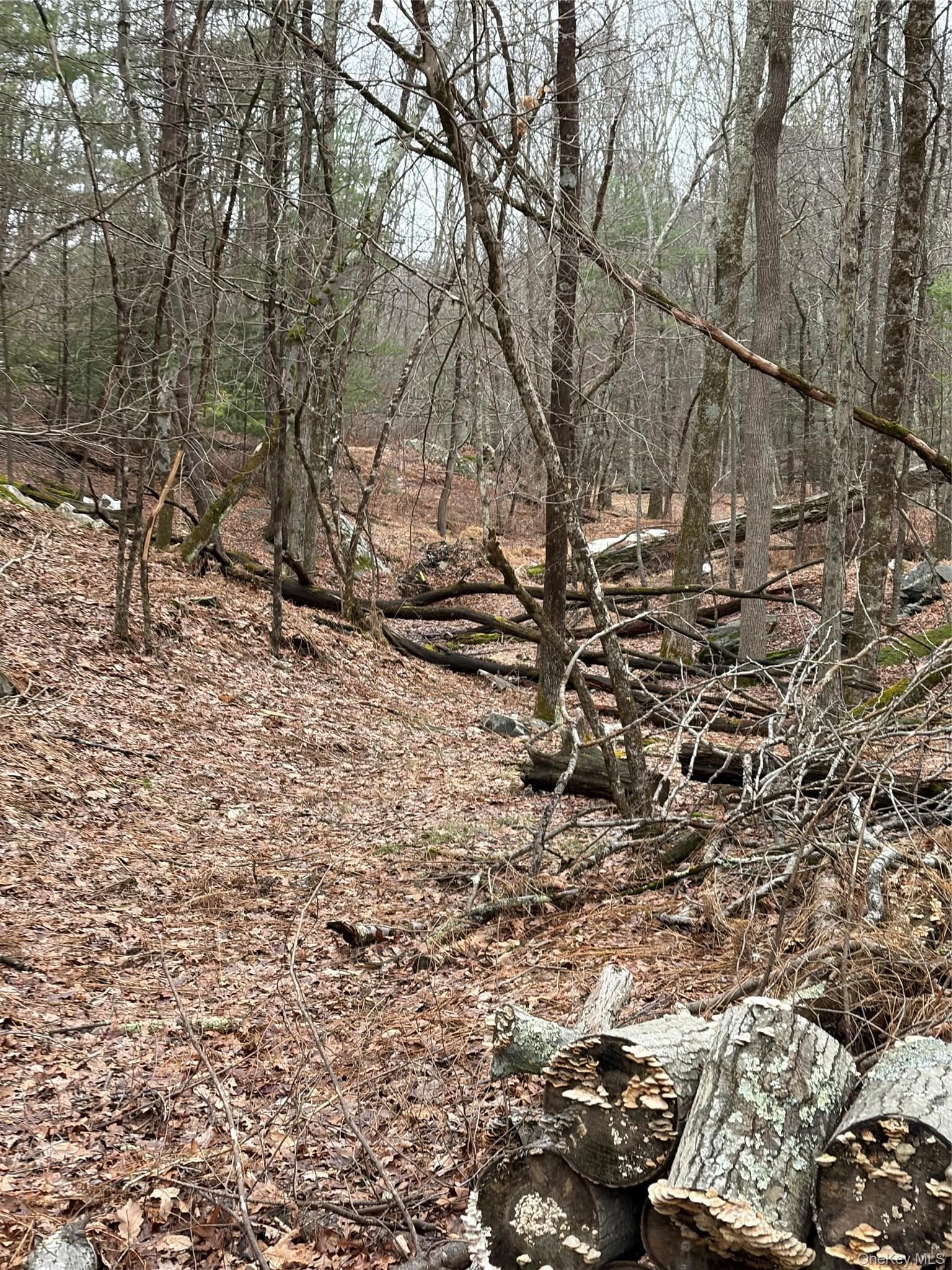 Red Hill Road thumbnail 11
