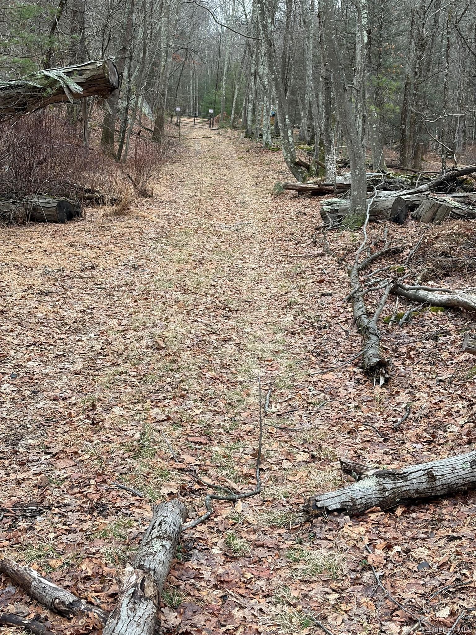 Red Hill Road thumbnail 4