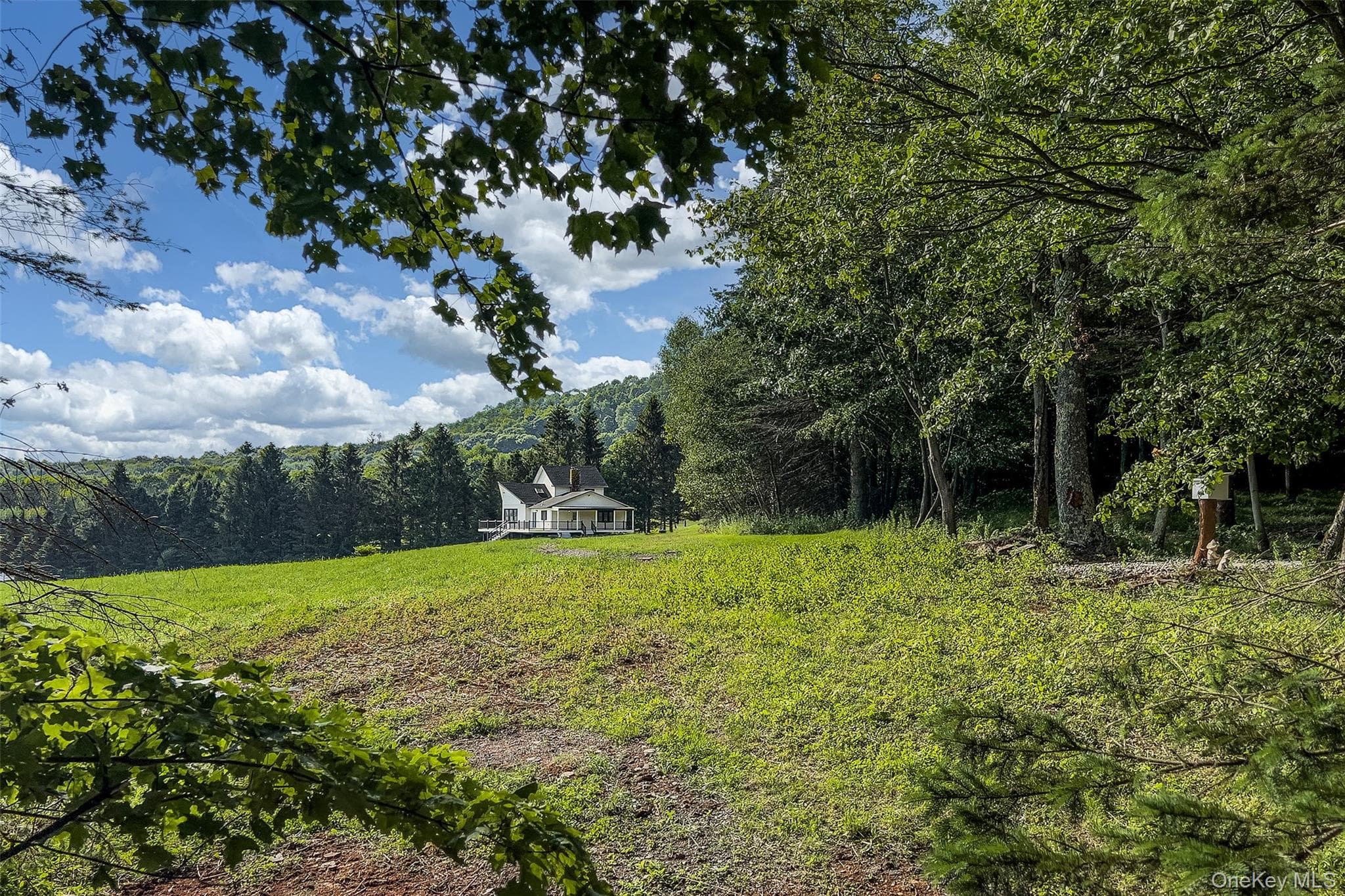 1534 Brownell Road thumbnail 46