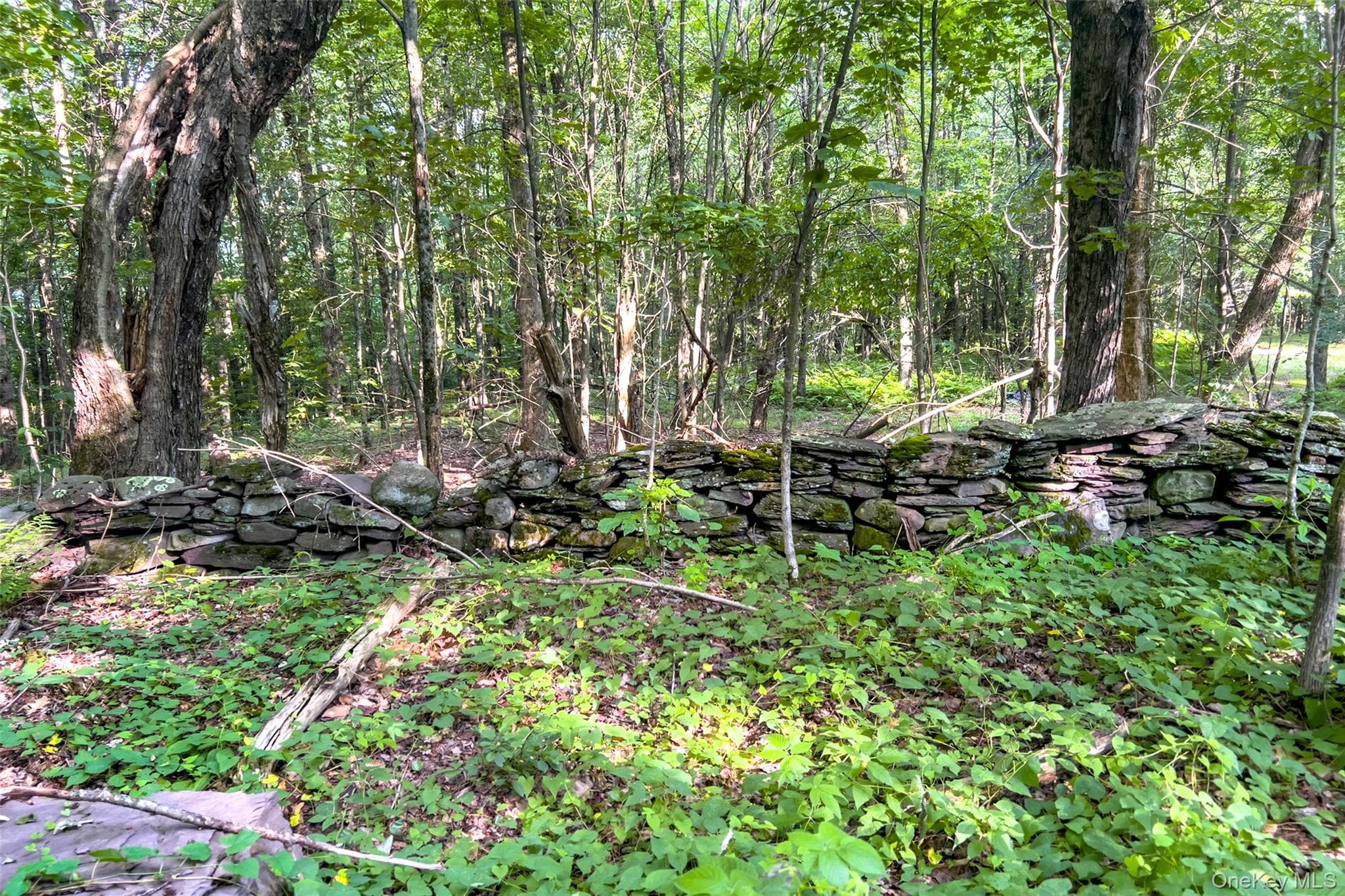 1534 Brownell Road thumbnail 48