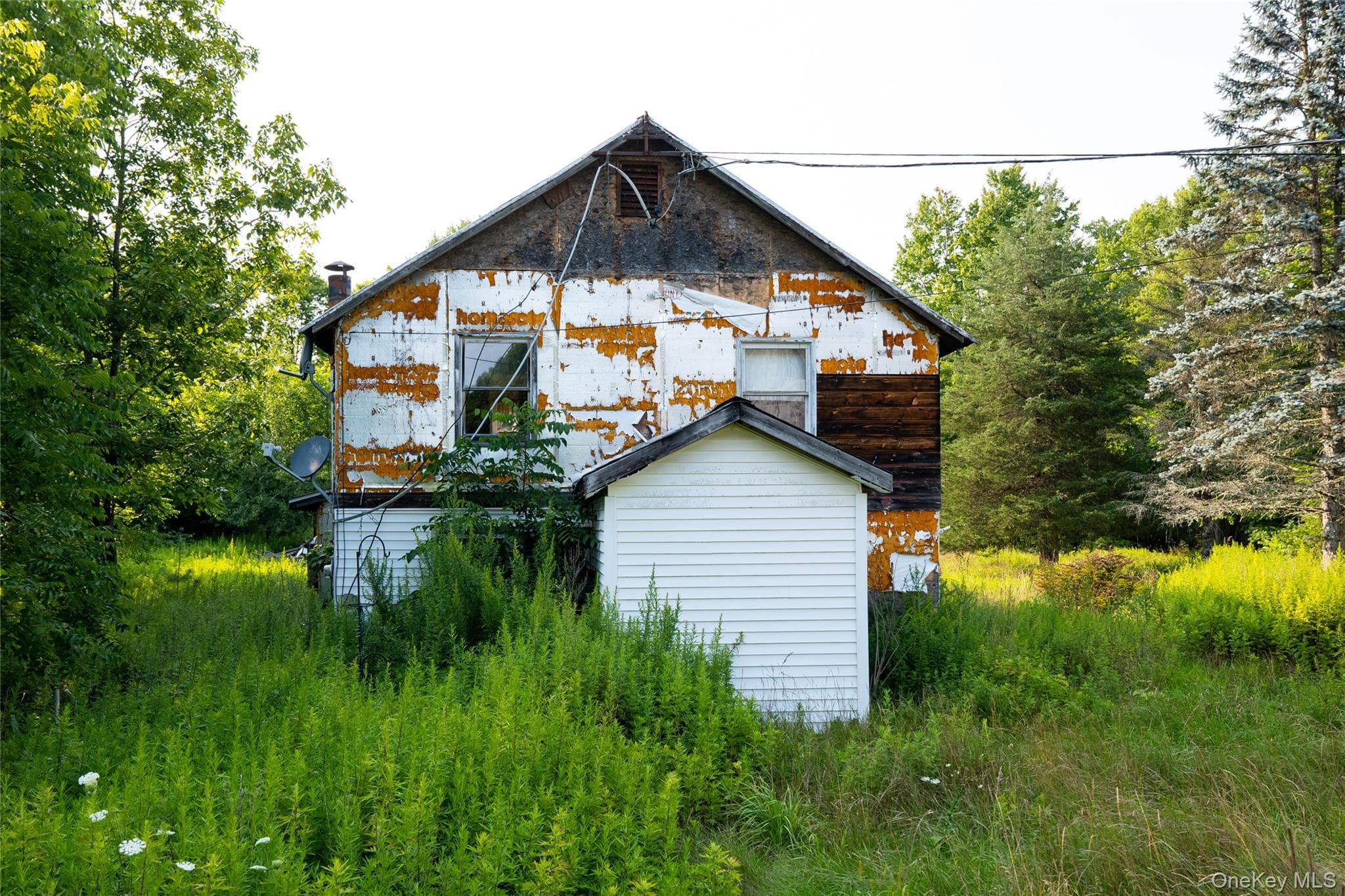 55 Hill Road thumbnail 16