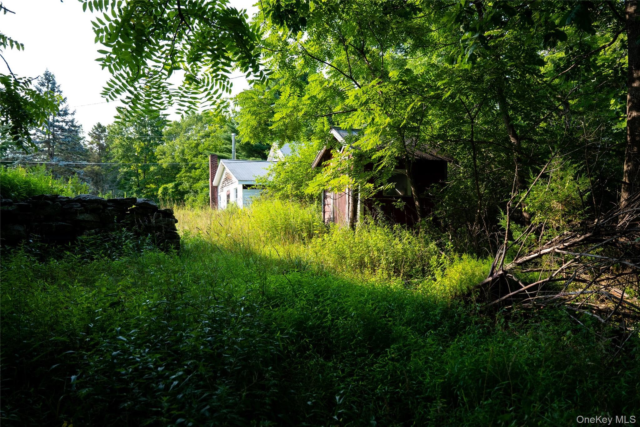 55 Hill Road thumbnail 30