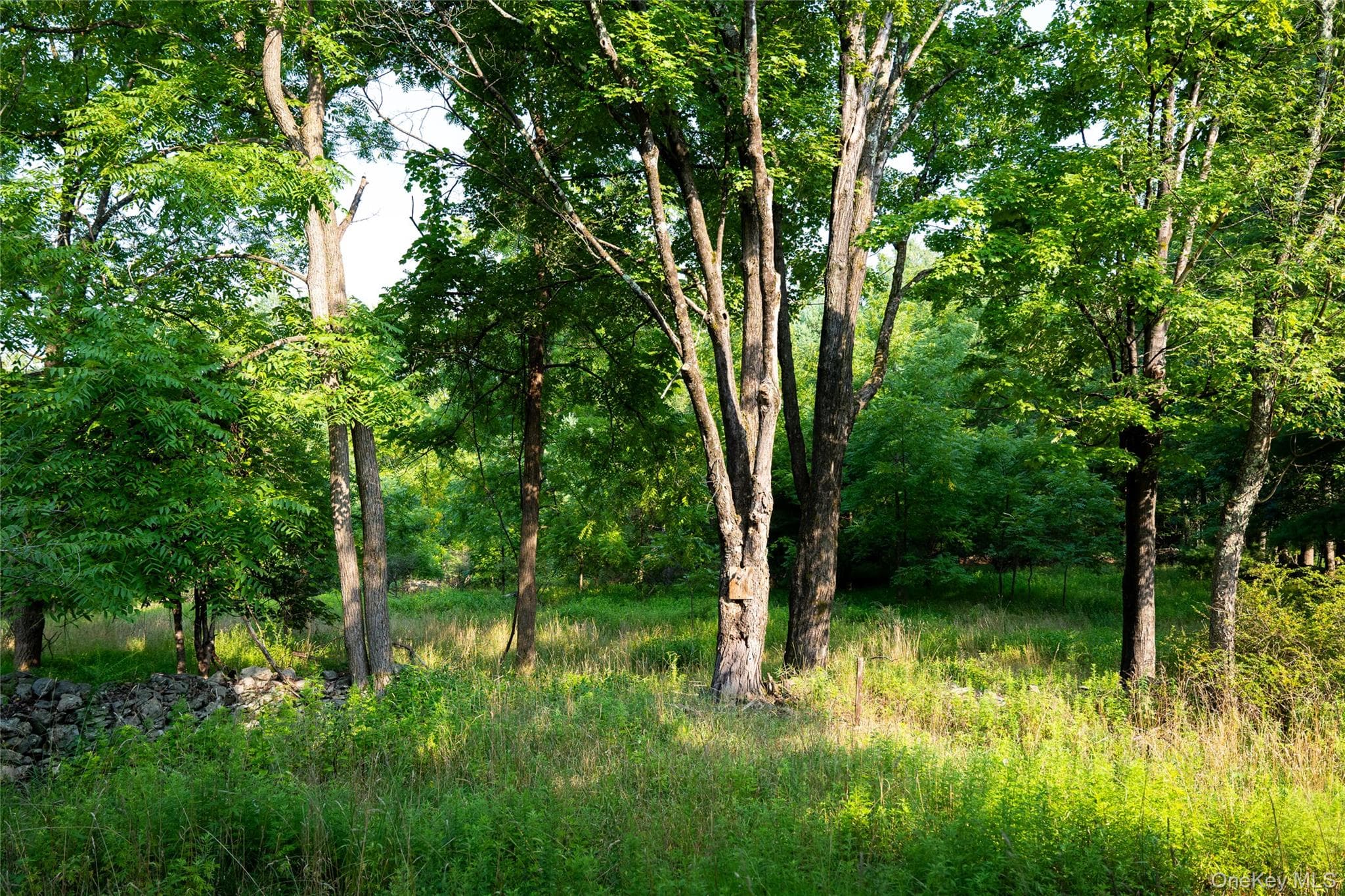 55 Hill Road thumbnail 29