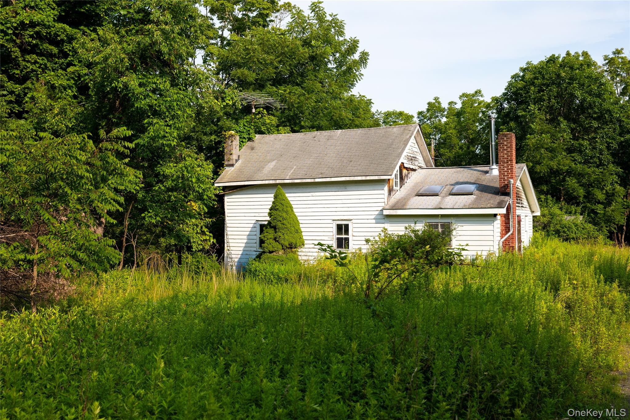 55 Hill Road thumbnail 10