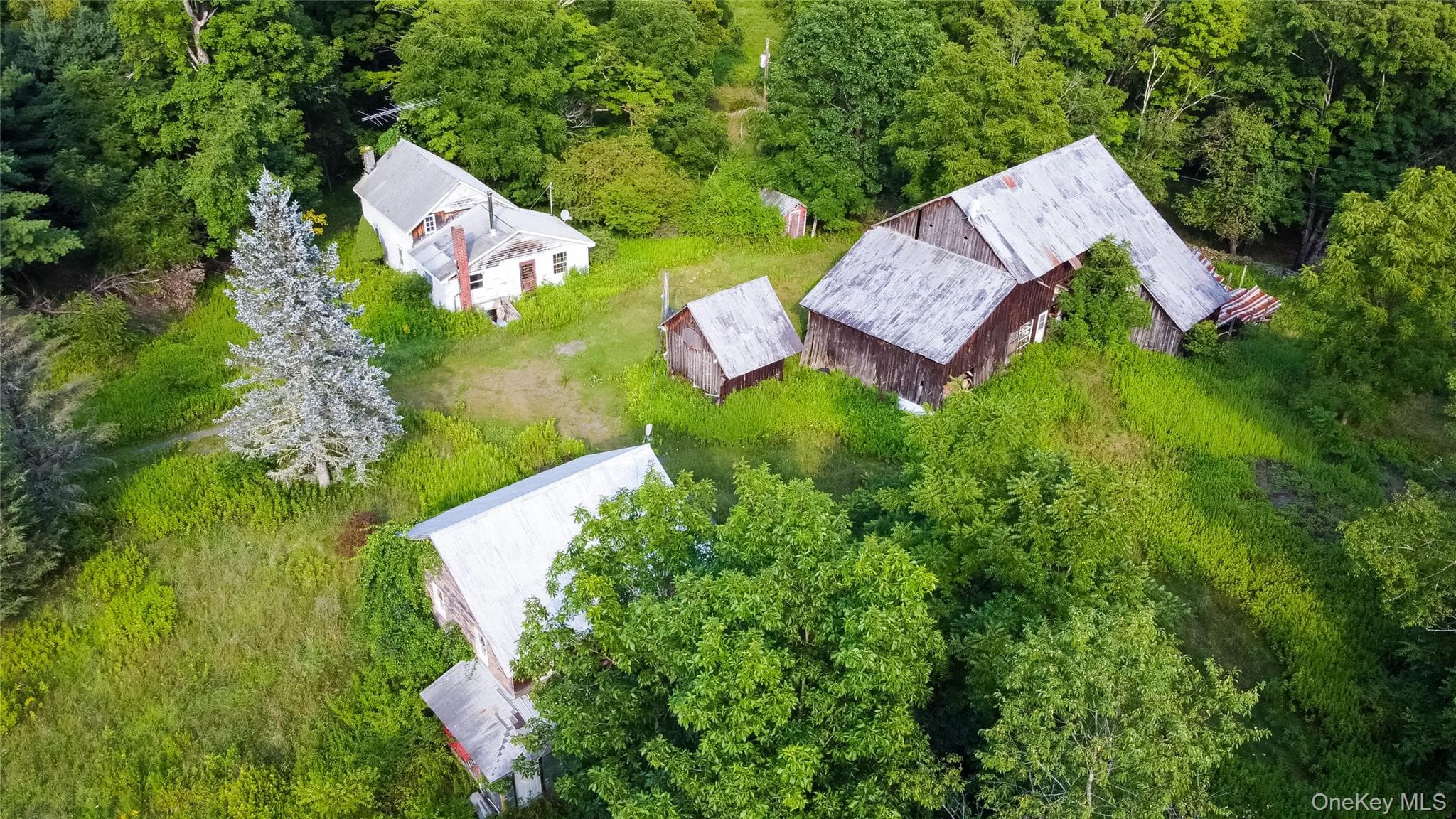 55 Hill Road thumbnail 38