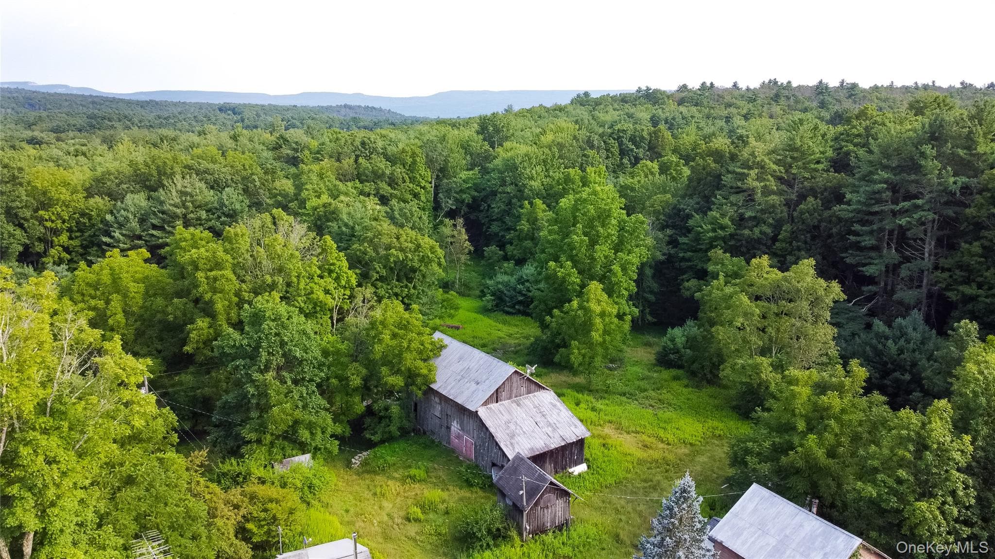 55 Hill Road thumbnail 41
