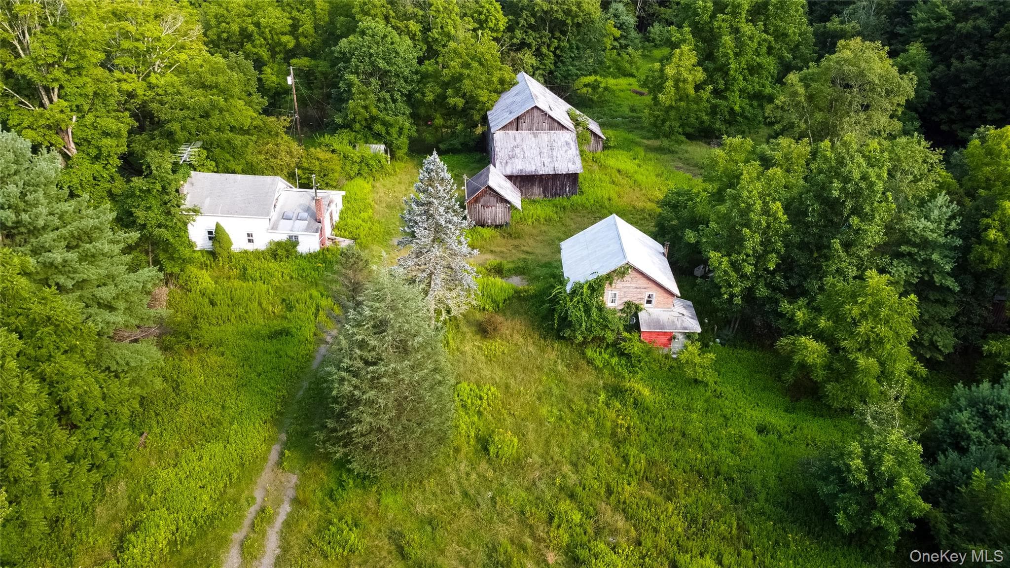 55 Hill Road, Accord