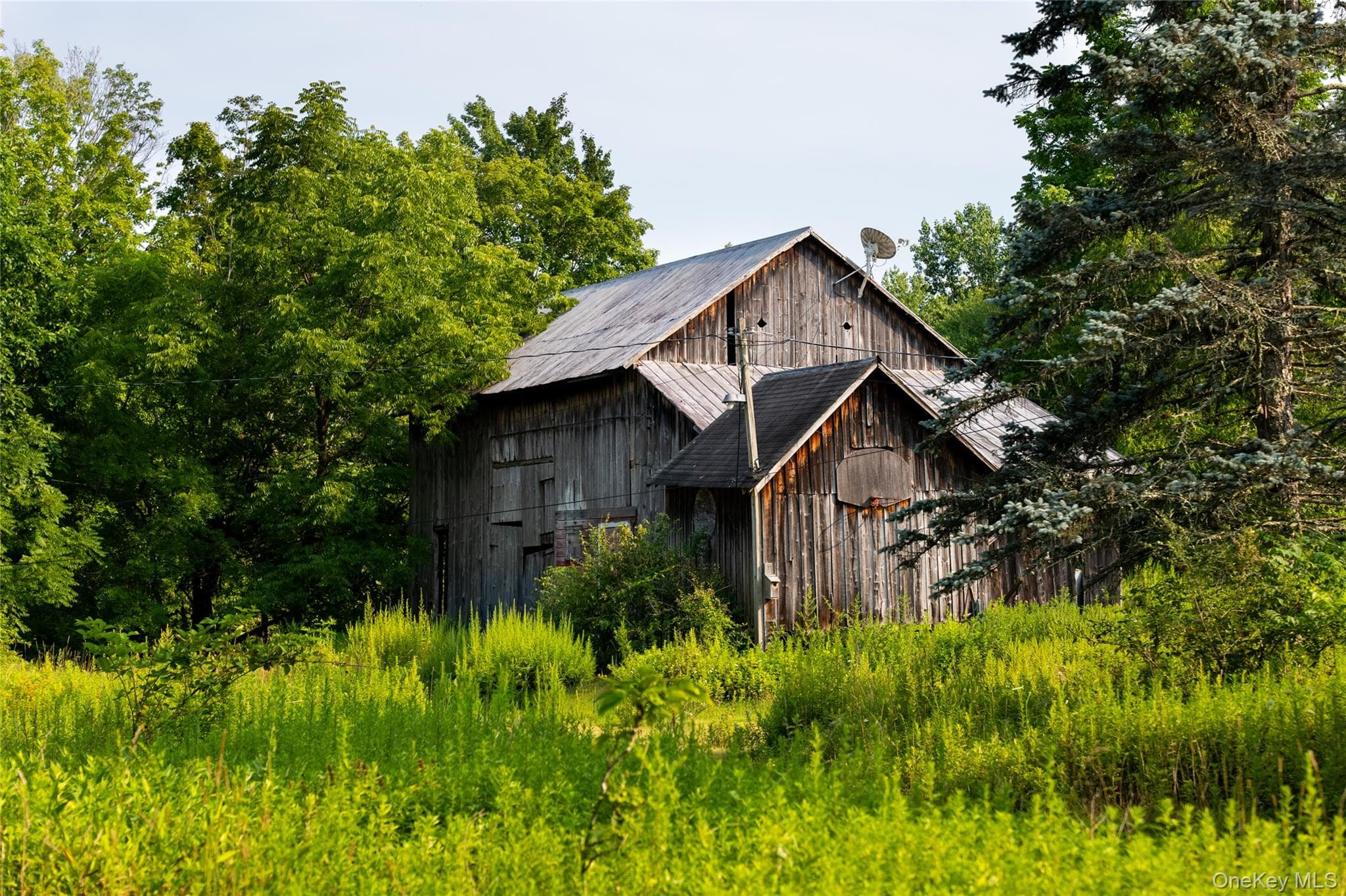 55 Hill Road thumbnail 11