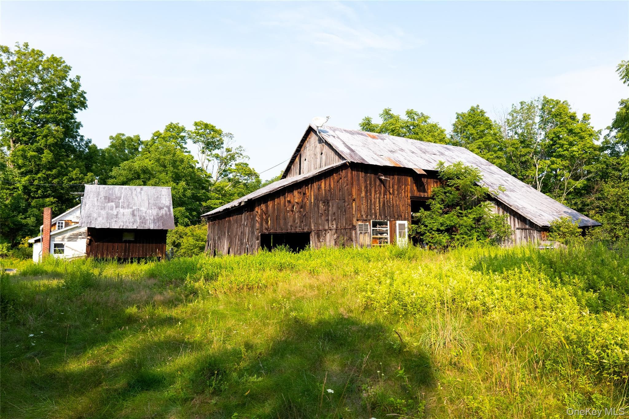 55 Hill Road thumbnail 19