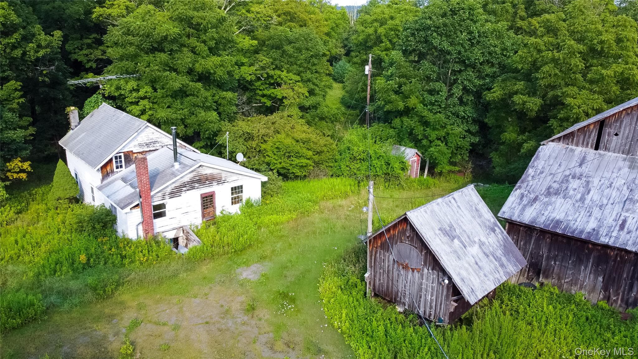 55 Hill Road thumbnail 36