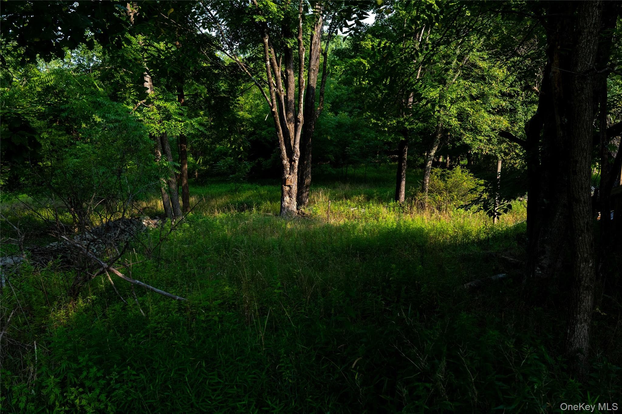 55 Hill Road thumbnail 28