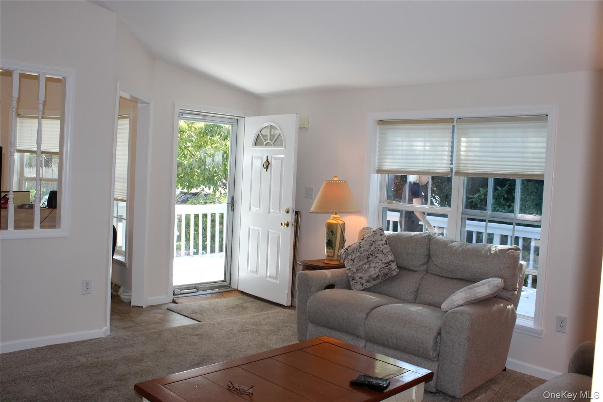 1661 Old Country Road Unit: 77 thumbnail 10