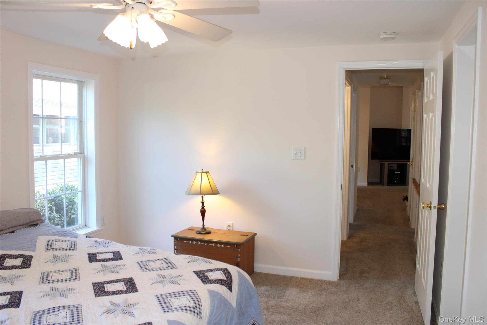 1661 Old Country Road Unit: 77 thumbnail 22