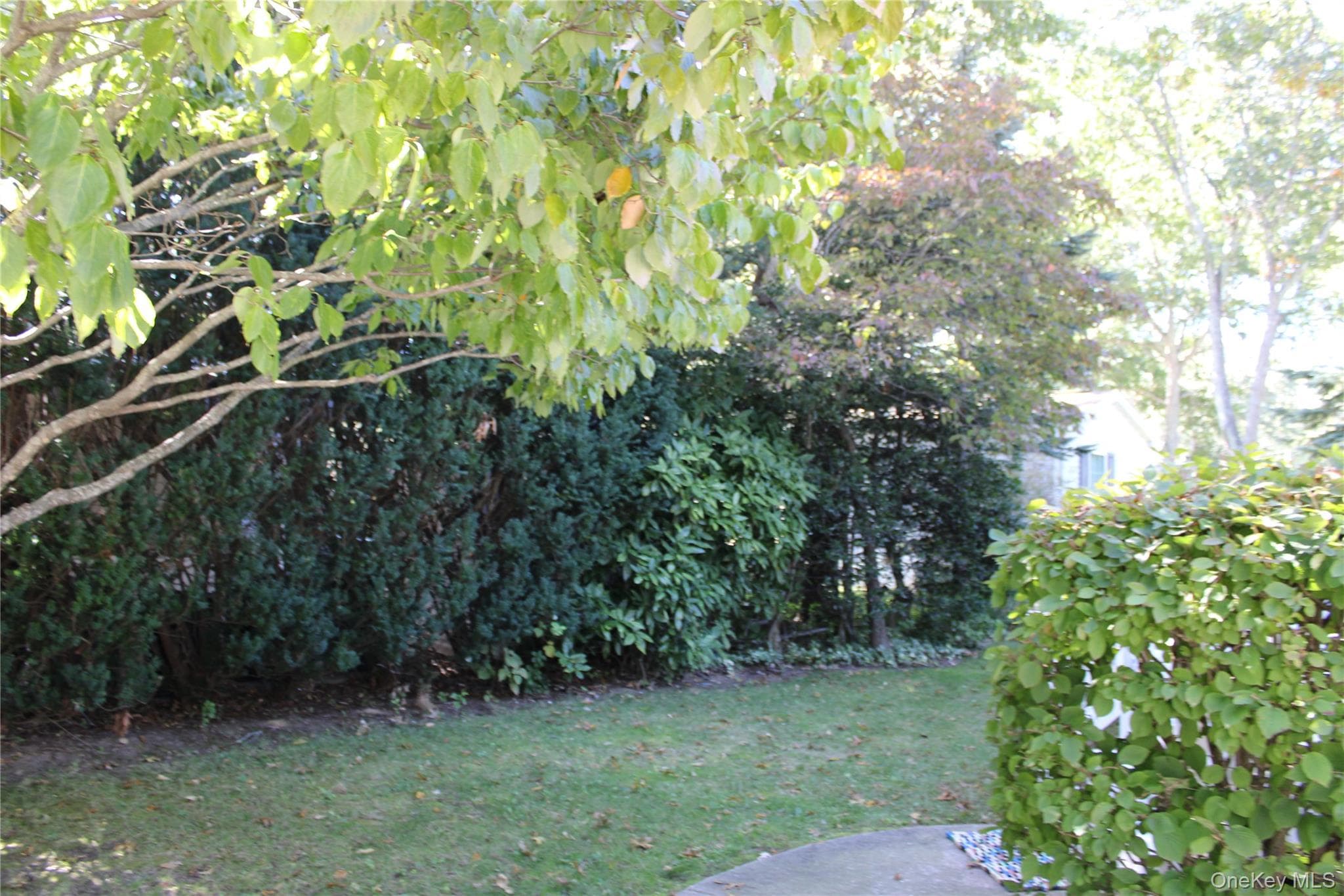 1661 Old Country Road Unit: 77 thumbnail 8