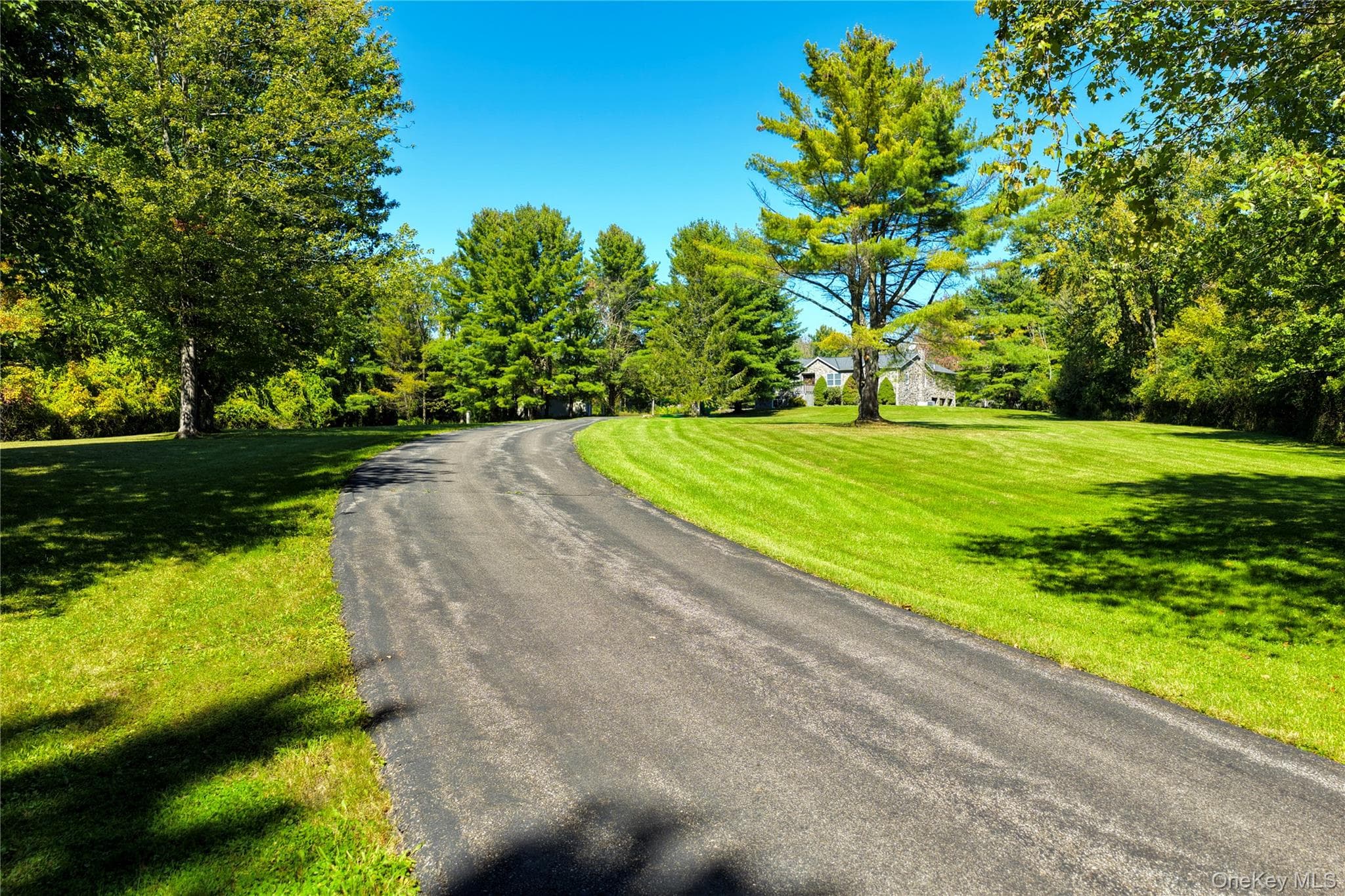 258 Lobdell Mill Road thumbnail 3
