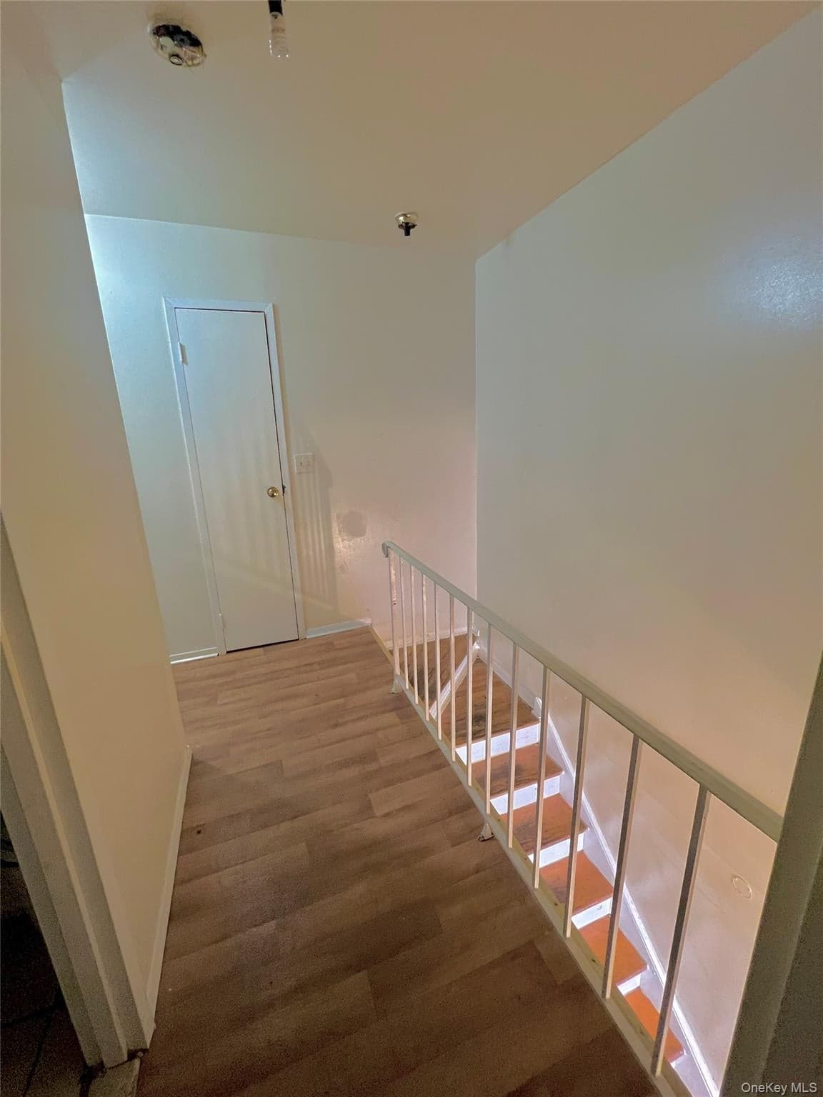 620 E 182nd Street thumbnail 5