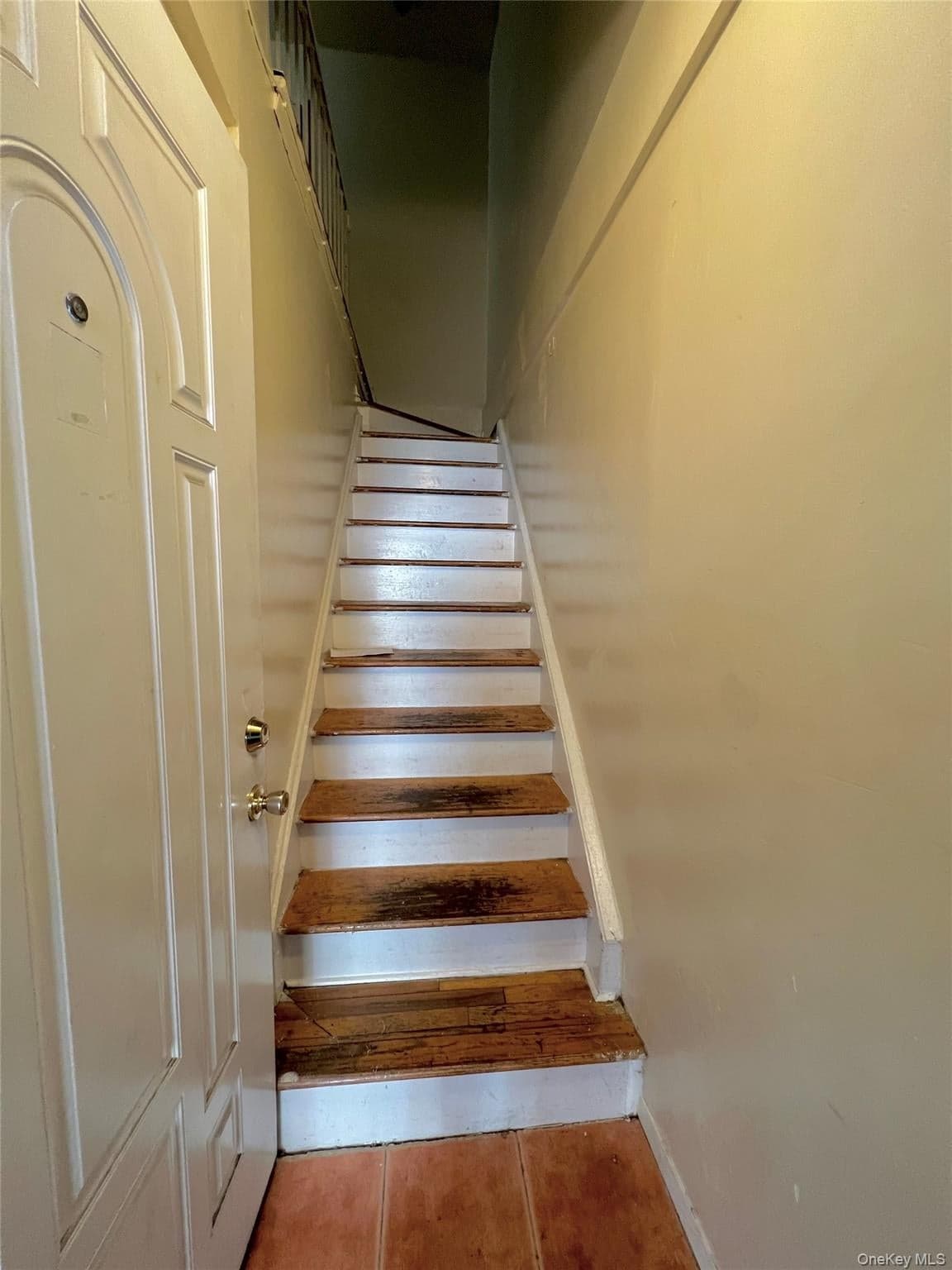 620 E 182nd Street thumbnail 4