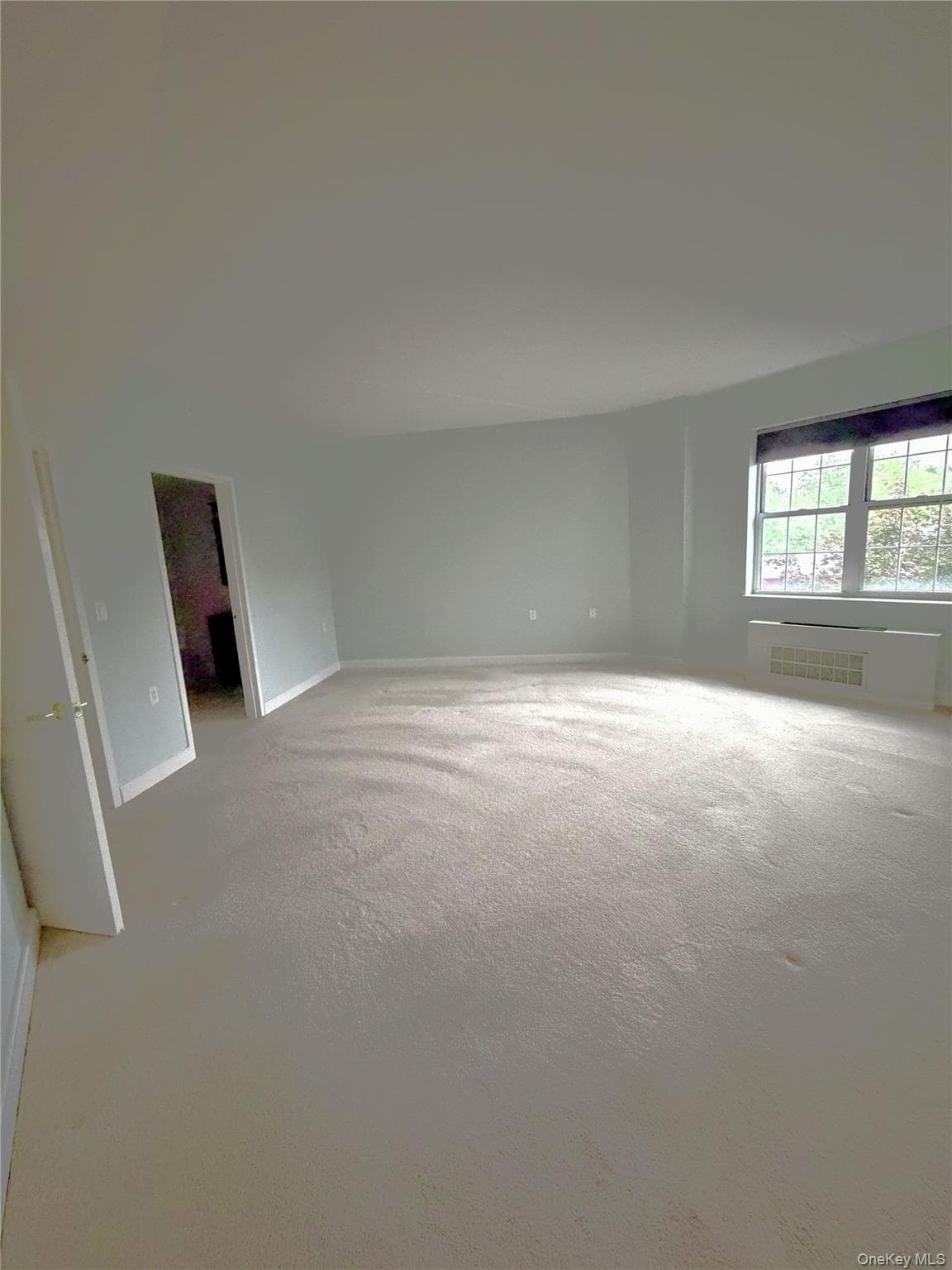 50 Merrick Avenue Unit: 226 thumbnail 12