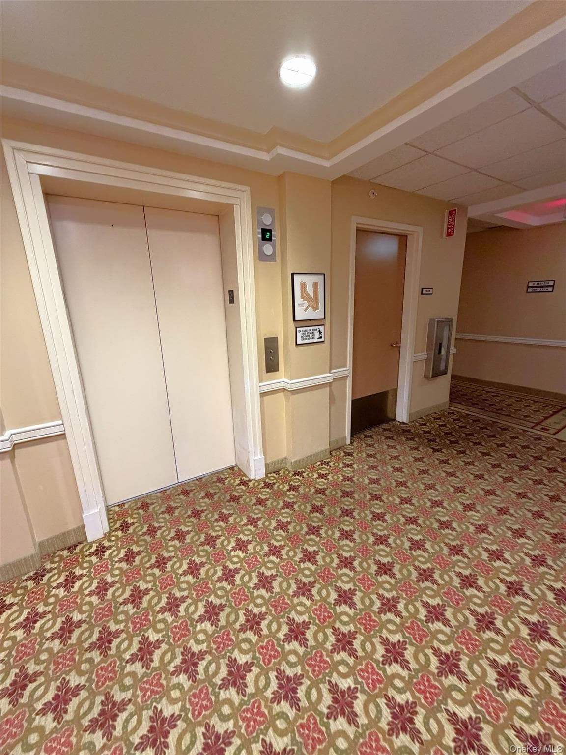 50 Merrick Avenue Unit: 226 thumbnail 34