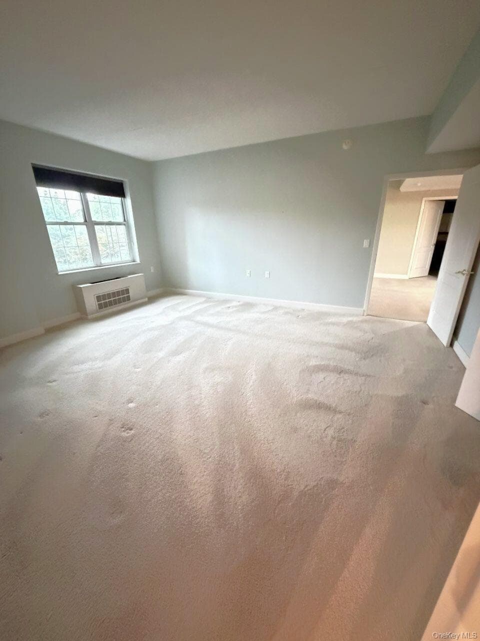 50 Merrick Avenue Unit: 226 thumbnail 11