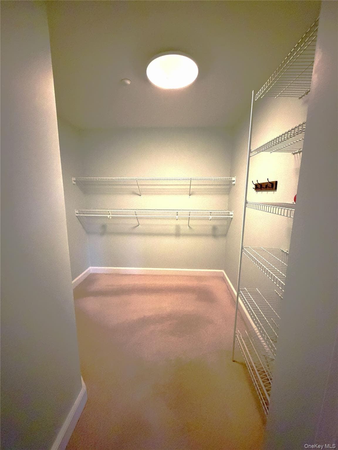 50 Merrick Avenue Unit: 226 thumbnail 15