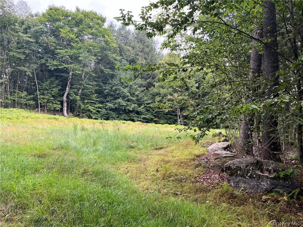 34 Black Bear Crossing, Claryville
