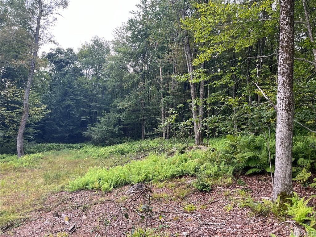 34 Black Bear Crossing thumbnail 15