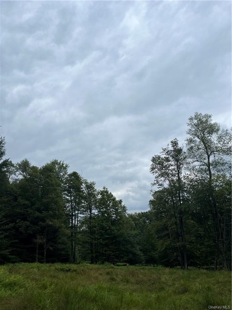 34 Black Bear Crossing thumbnail 13