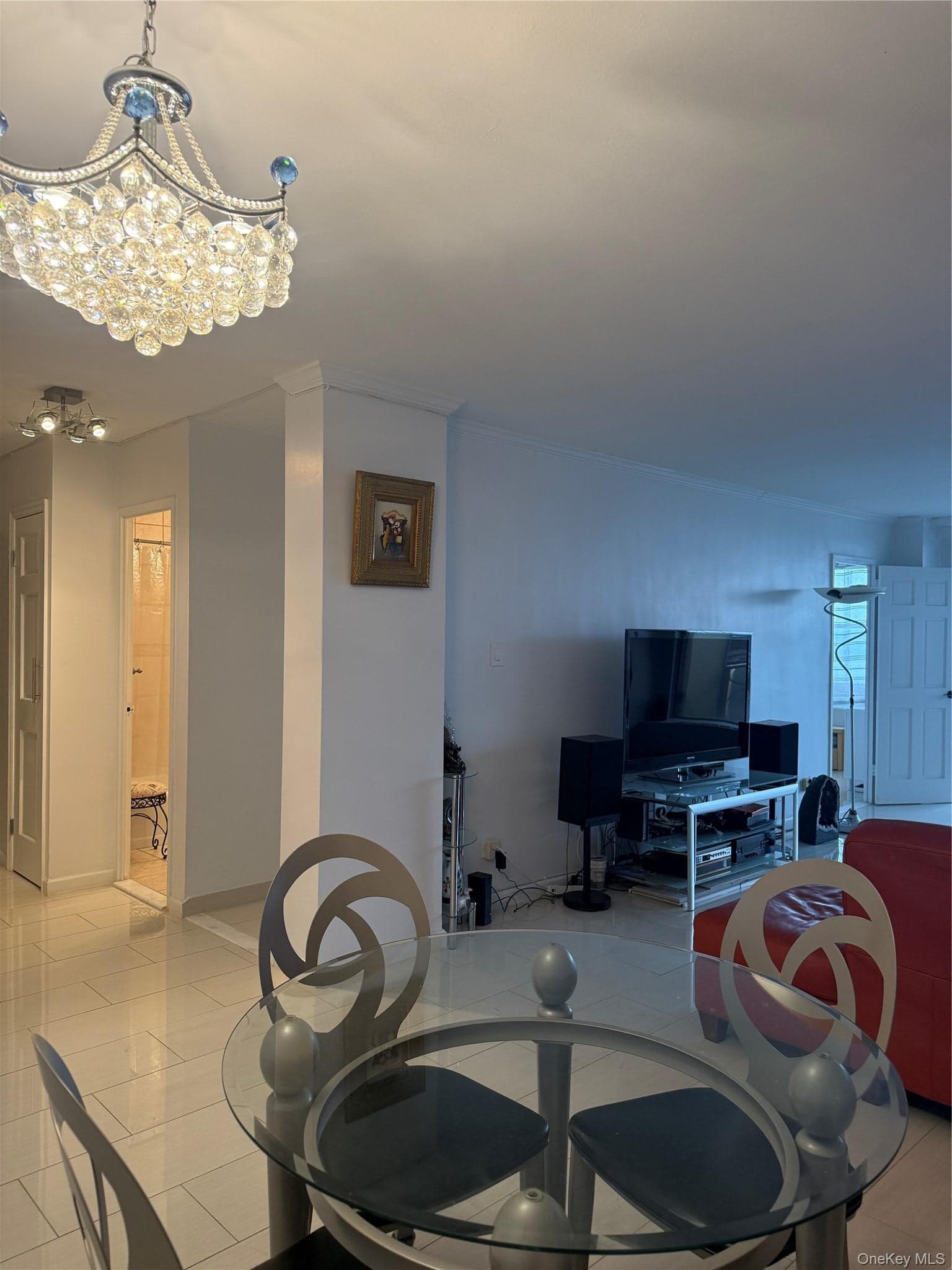 61-20 Grand Central Parkway Unit: B 1101 thumbnail 9