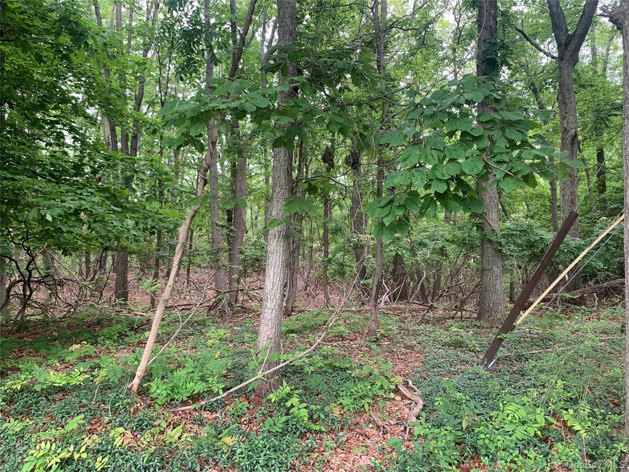 105 Laurel Lane thumbnail 4