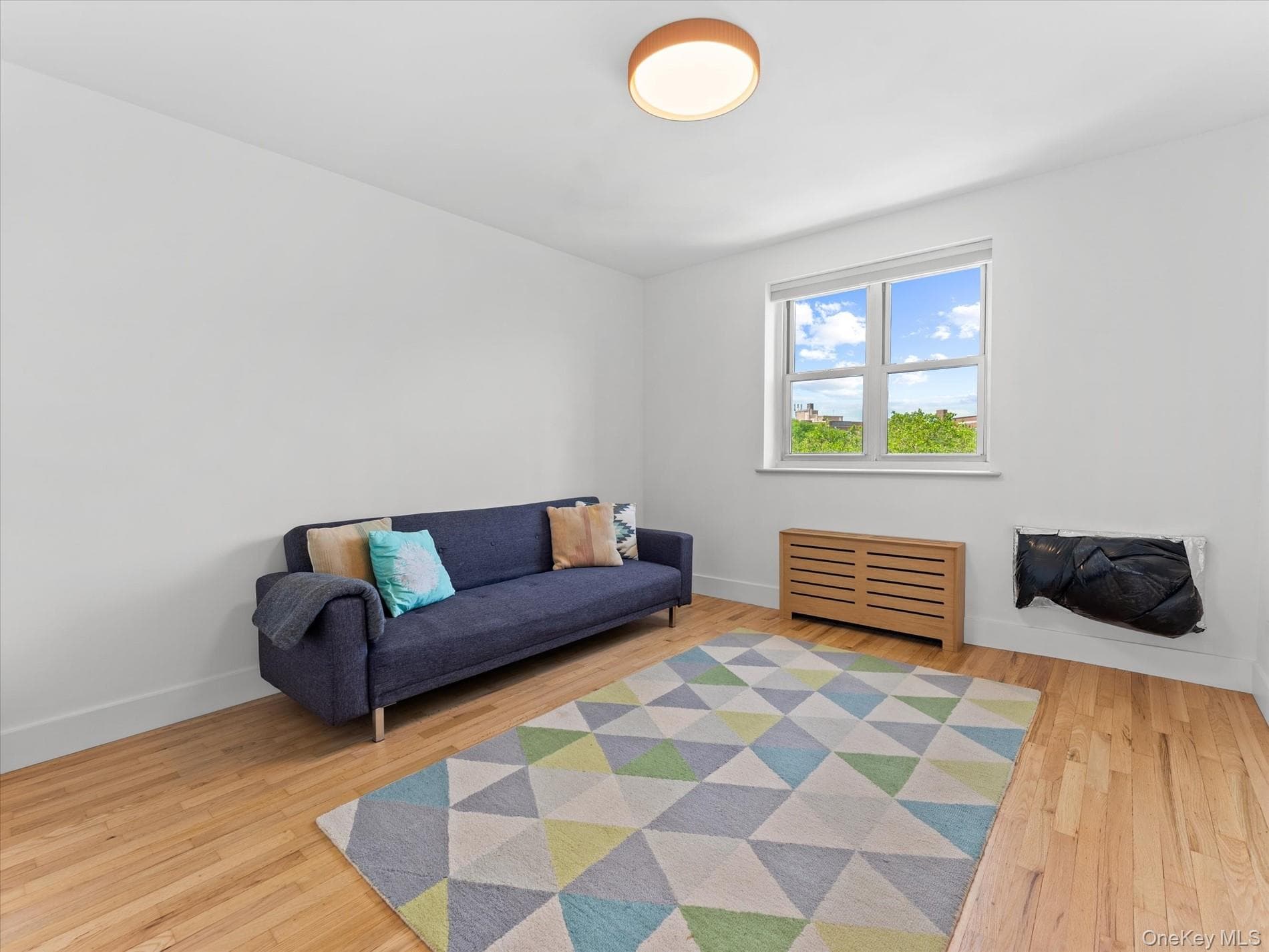 153-25 88th Street Unit: 5K thumbnail 9