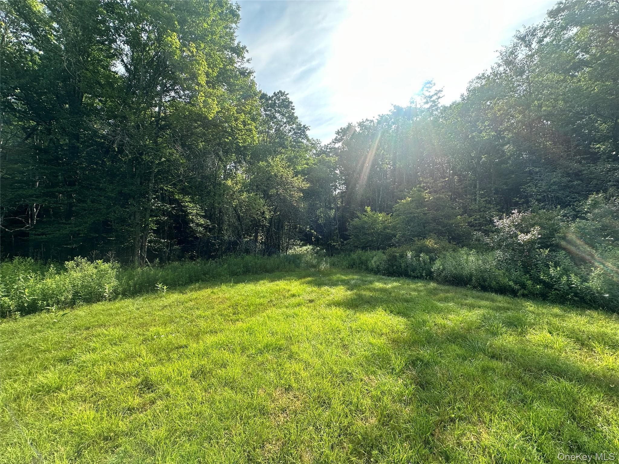 Benton Hollow Road thumbnail 11